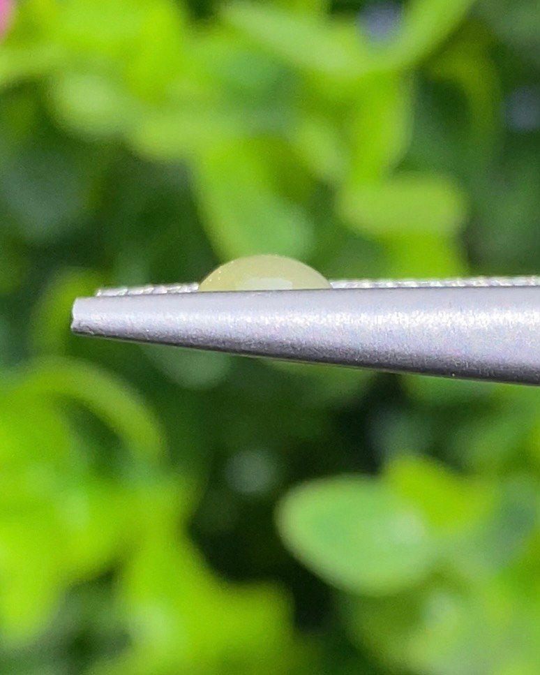 พลอย ตาแมว คริโซเบริล Cat eye Chrysoberyl 1.00 กะรัต (Cts.) พลอยแท้ อัญมณีมงคลประจําวันเกิด เครื่องประดับพลอย