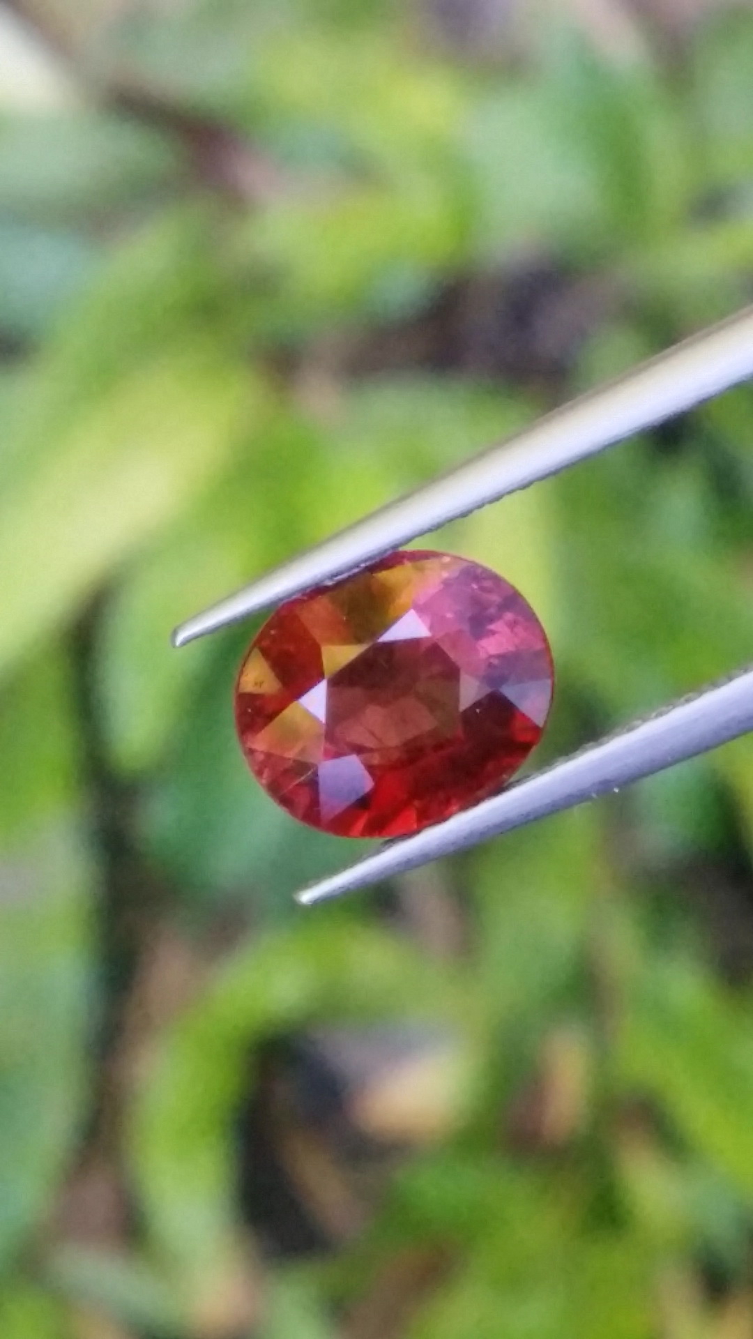พลอย รูเบลไลต์ ทัวร์มาลีน Rubellite Tourmaline 1.83 กะรัต (Cts.克拉)