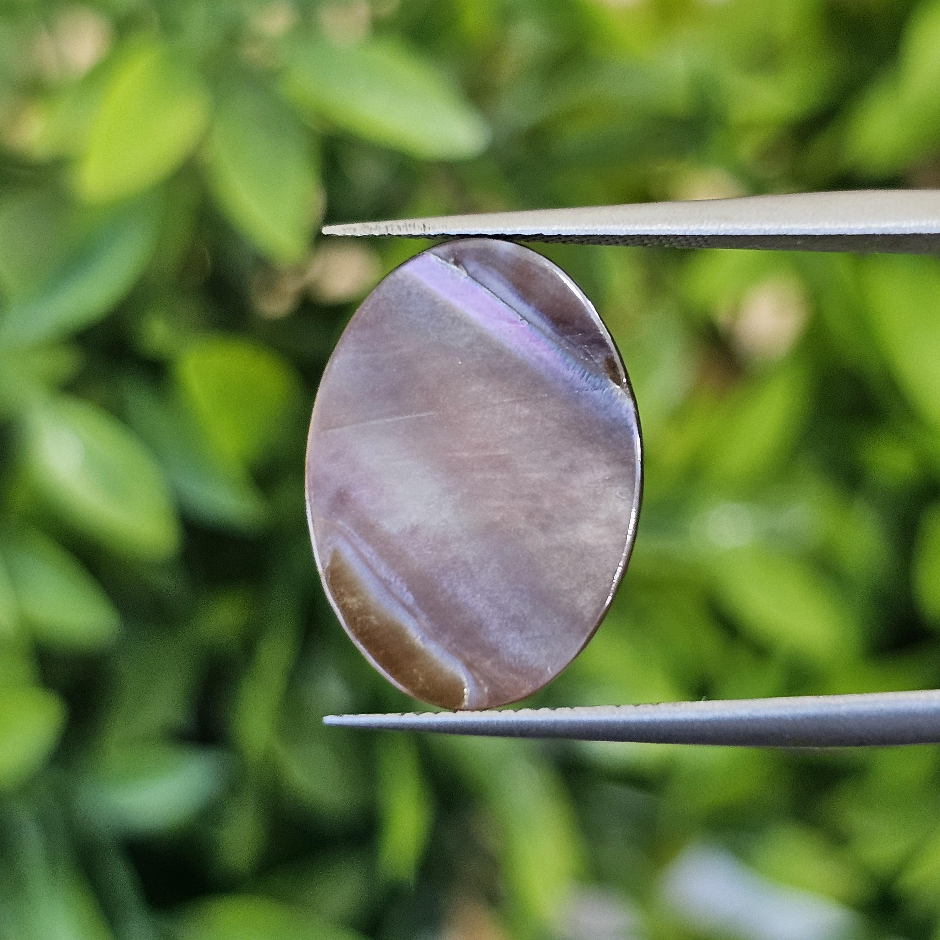 เปลือกหอยมุก แกะสลัก Pearl Shell Carved 3.07 กะรัต (Cts.)