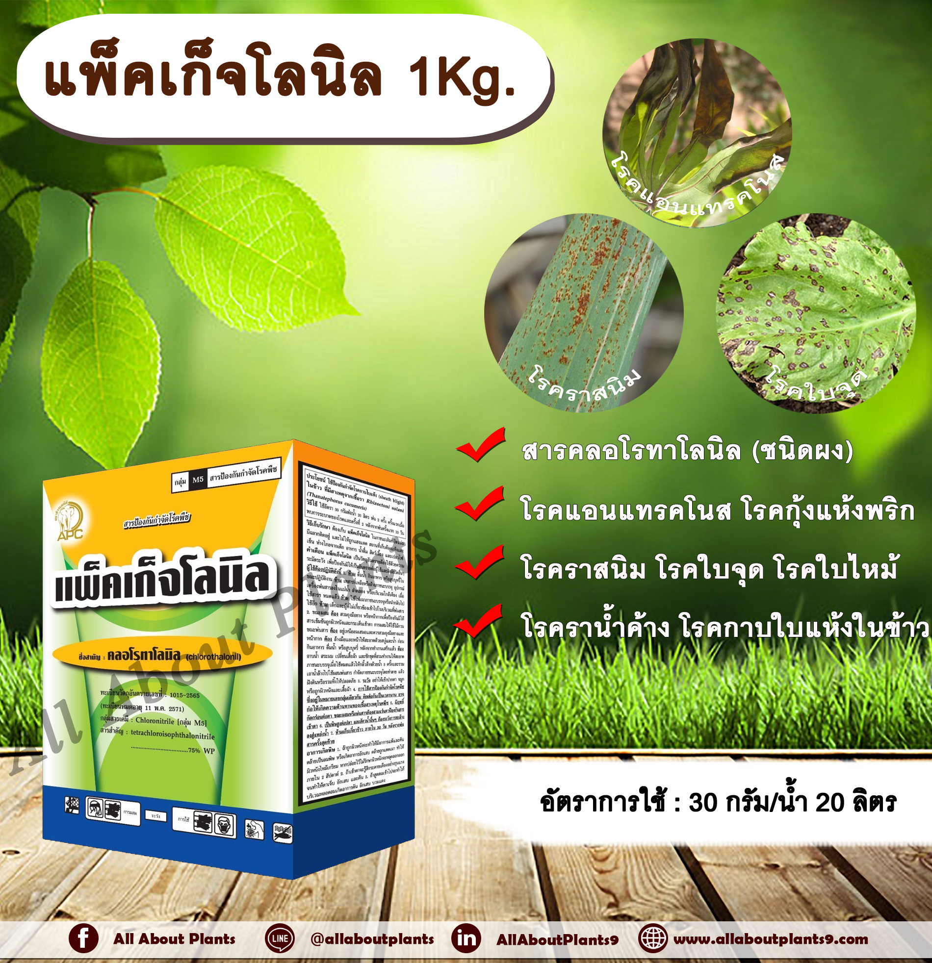 แพ็คเก็จโลนิล 1Kg. คลอโรทาโลนิล สารกำจัด โรคพืช เชื้อรา โรคแอนแทรคโนส โรคกุ้งแห้งพริก โรคราสนิม โรคใบจุด ชิ้น