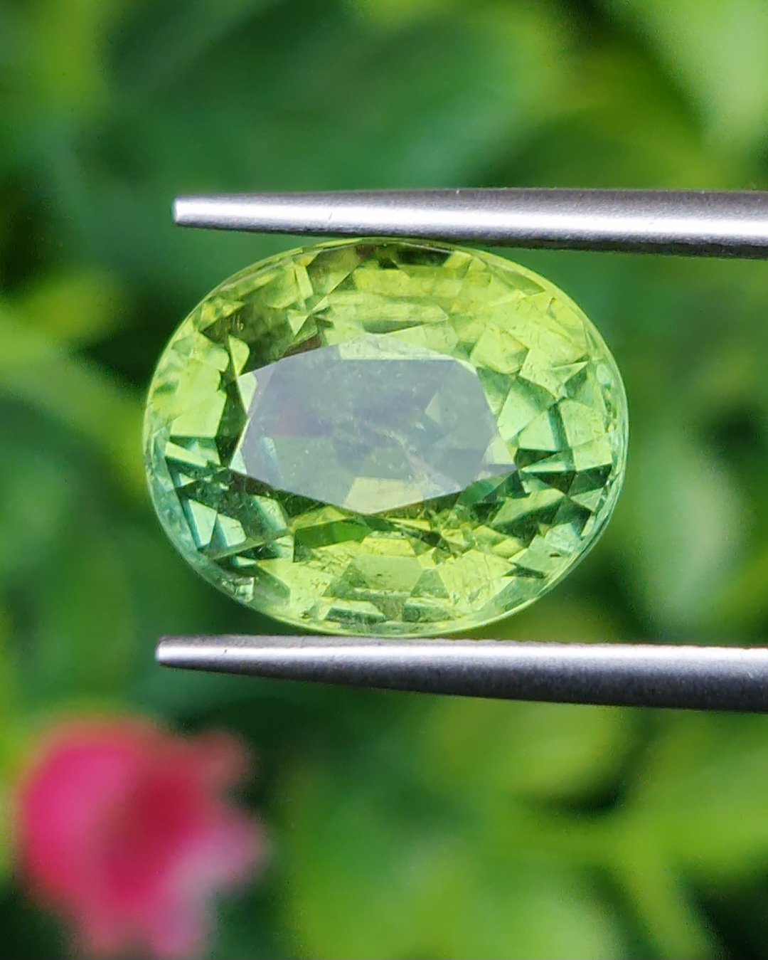 พลอย กรีน ทัวร์มารีน (Green Tourmaline) 6.80 กะรัต (Cts.) อัญมณีมงคลประจําวันเกิด เครื่องประดับพลอย