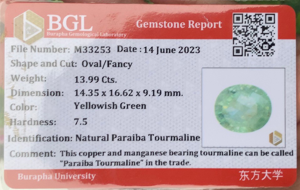 พลอย พาไรบ้า ทัวร์มาลีน Paraiba Tourmaline 13.99 กะรัต (Cts.) พร้อมใบเซอร์ พลอยแท้อัญมณีมงคล ประจําวันเกิด เครื่องประดับพลอย