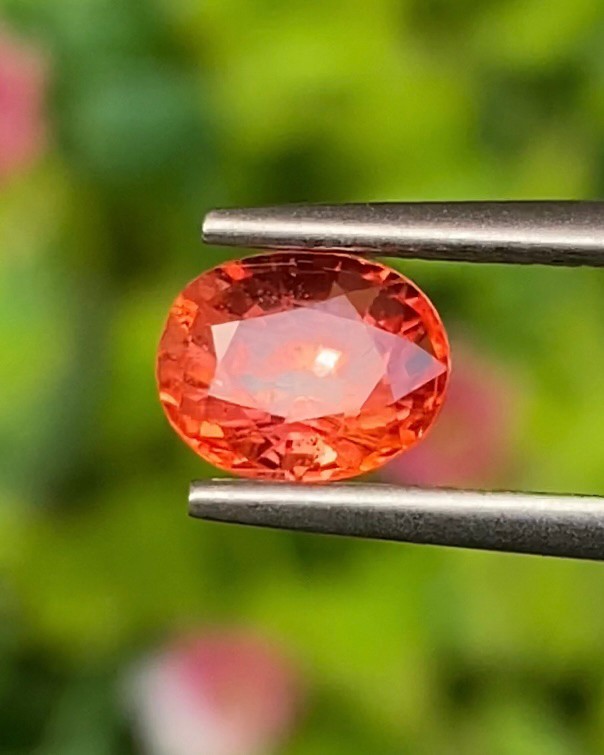 พลอย ออเรนจ์ แซฟไฟร์ Orange Sapphire 1.29 กะรัต (Cts.) พลอยแท้ อัญมณีมงคลประจําวันเกิด เครื่องประดับพลอย