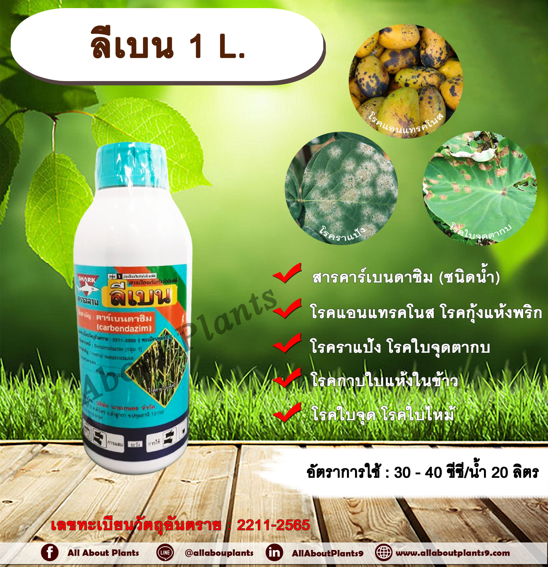 ลีเบน 1000 ml. คาร์เบนดาซิม สารป้องกันและกำจัดเชื้อรา แบบดูดซึม โรคราแป้ง โรคแอนแทรกโนส โรคกุ้งแห้งพริก โรคใบไหม้ โรคใบ ขวด