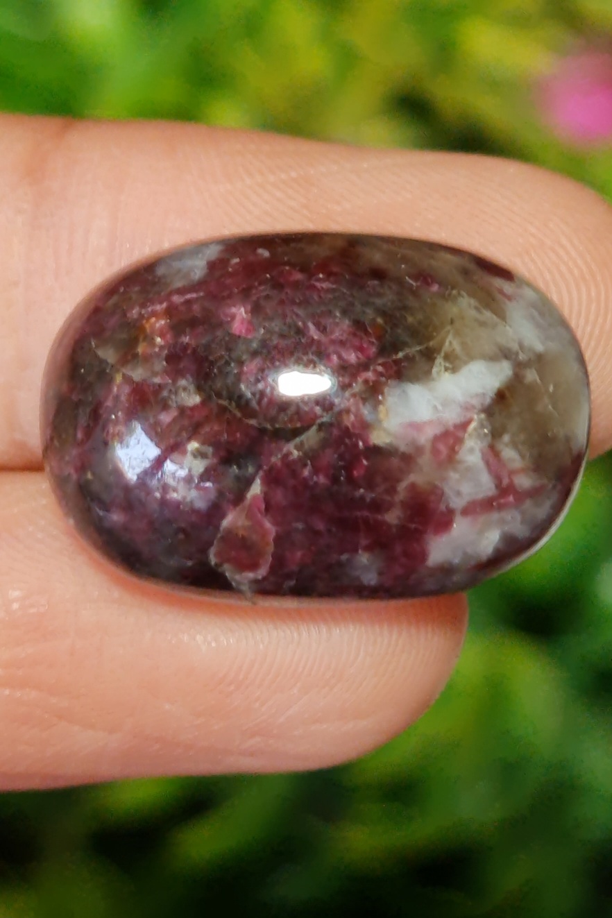 พลอย ทัวร์มารีน (Tourmaline) 31.97 กะรัต (Cts.) อัญมณีมงคลประจําวันเกิด เครื่องประดับพลอย