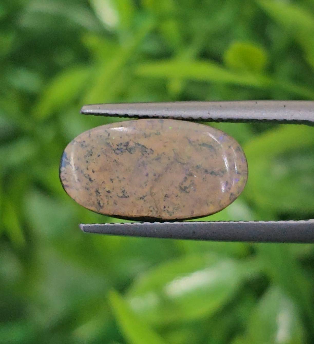 พลอย โบลเดอร์ โอปอล ออสเตรเลีย Australian Boulder Opal 7.18 กะรัต (Cts.) พลอยแท้ อัญมณีมงคลประจําวันเกิด เครื่องประดับพลอย