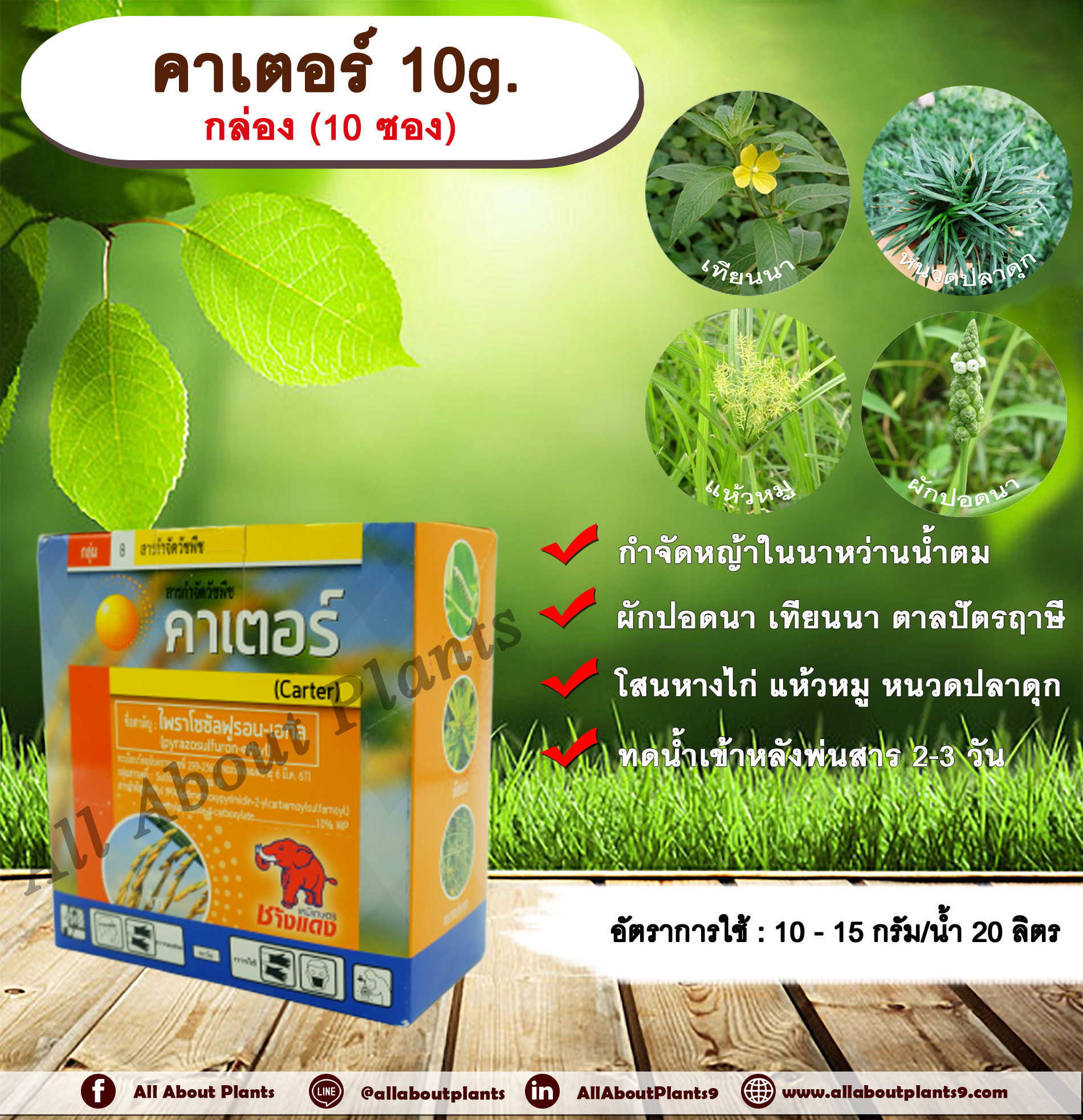 คาเตอร์ 10g. กล่อง (10 ซอง) ไพราโซซัลฟูรอน-เอทิล กำจัดหญ้าในนาหว่านน้ำตม หญ้าใบกว้างและกก ผักปอดนา เทียนนา แห้วหมู allaboutplants ชิ้น