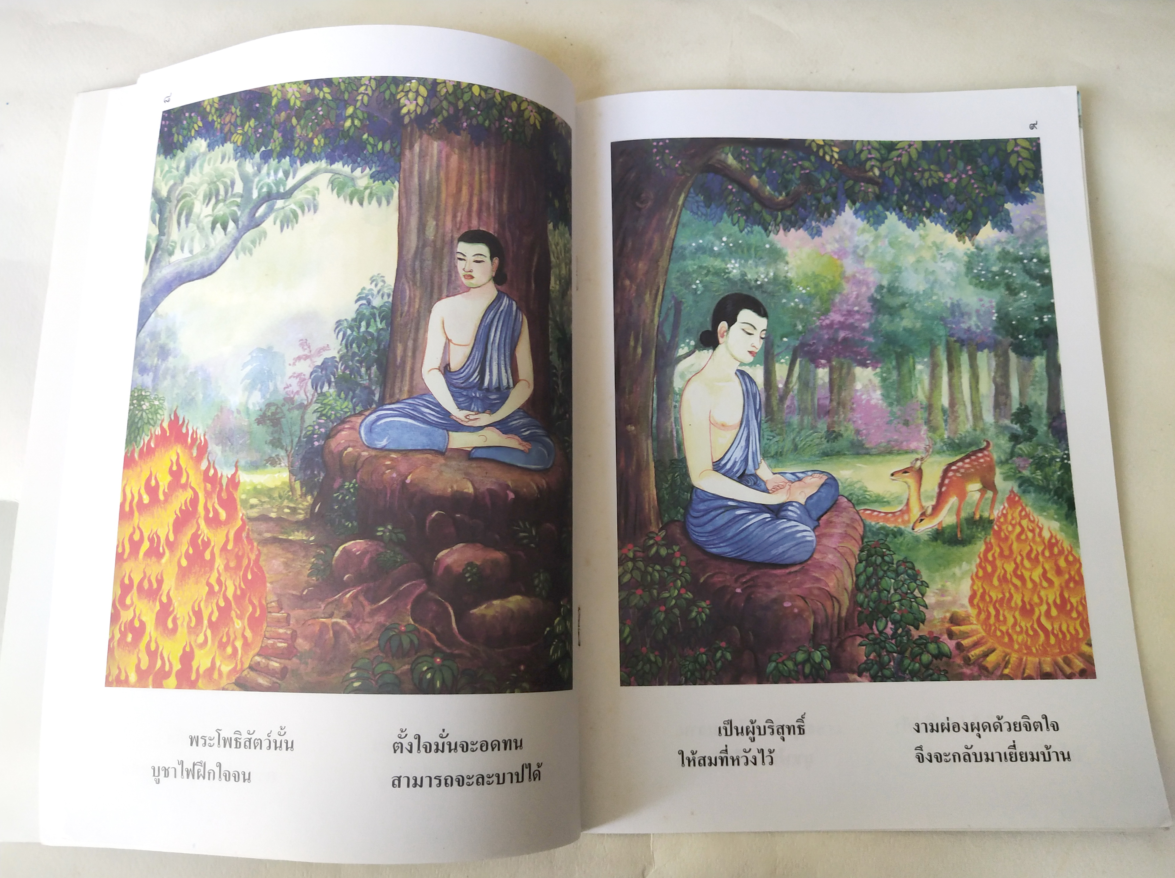 หนังสือภาพสวย มีตำหนิโปรดตรวจสอบทุกภาพ หนังสือภาค ชุด นิทานชาดก เรื่อง บูชาไฟ เขียนเรื่องโดย บุษบง โควินทร์ เขียนภาพโดย สงคราม คงสมฤทธิ์ พิมพ์ครั้งที่ 4 กรกฎาคม 2548