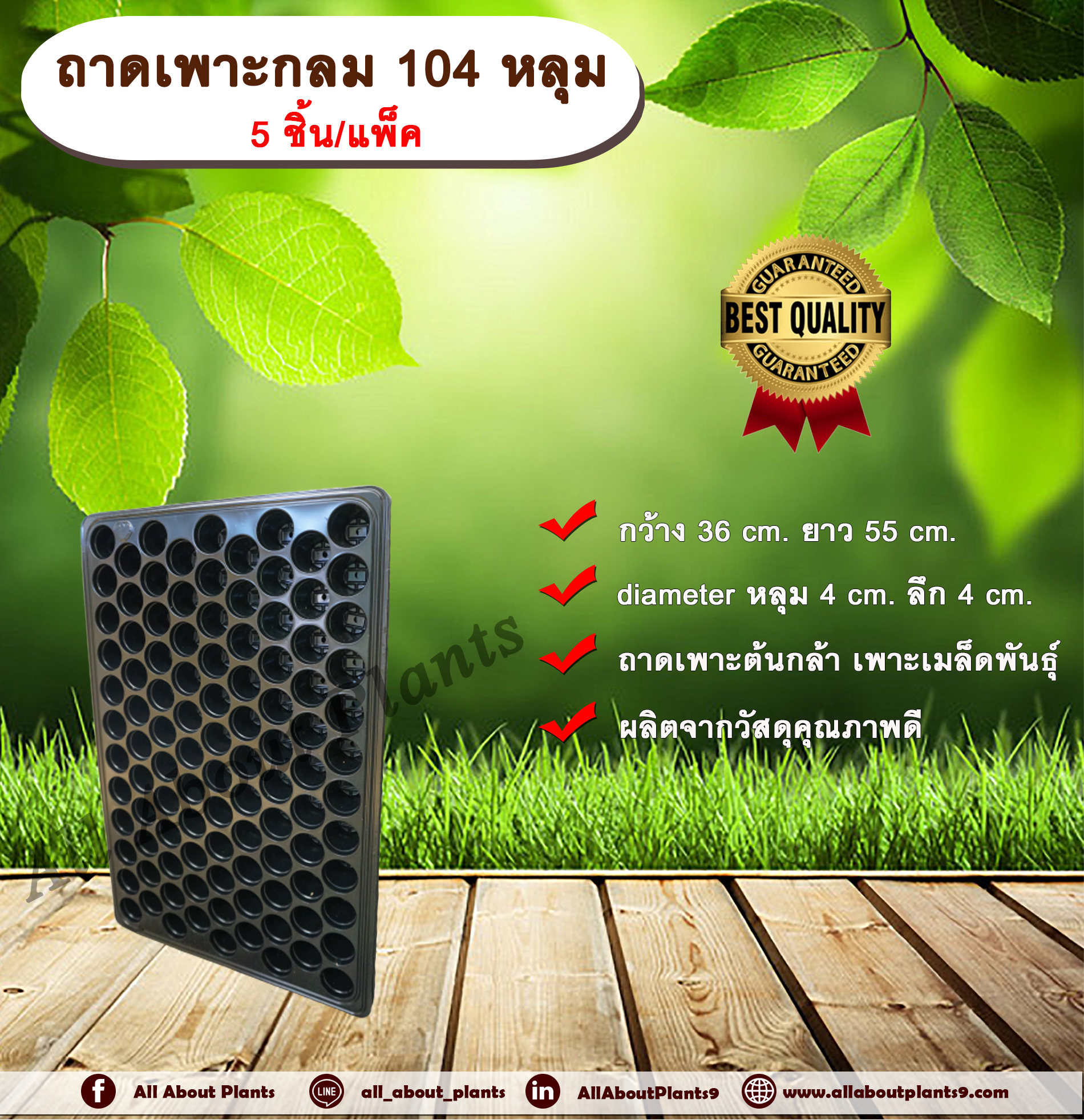 ถาดเพาะกลม 104 หลุม (5ชิ้น/แพ็ค) ถาดเพาะต้นกล้า ถาดเพาะเมล็ดพันธุ์ ขนาด 104 หลุม แบบกลม allaboutplants ชิ้น