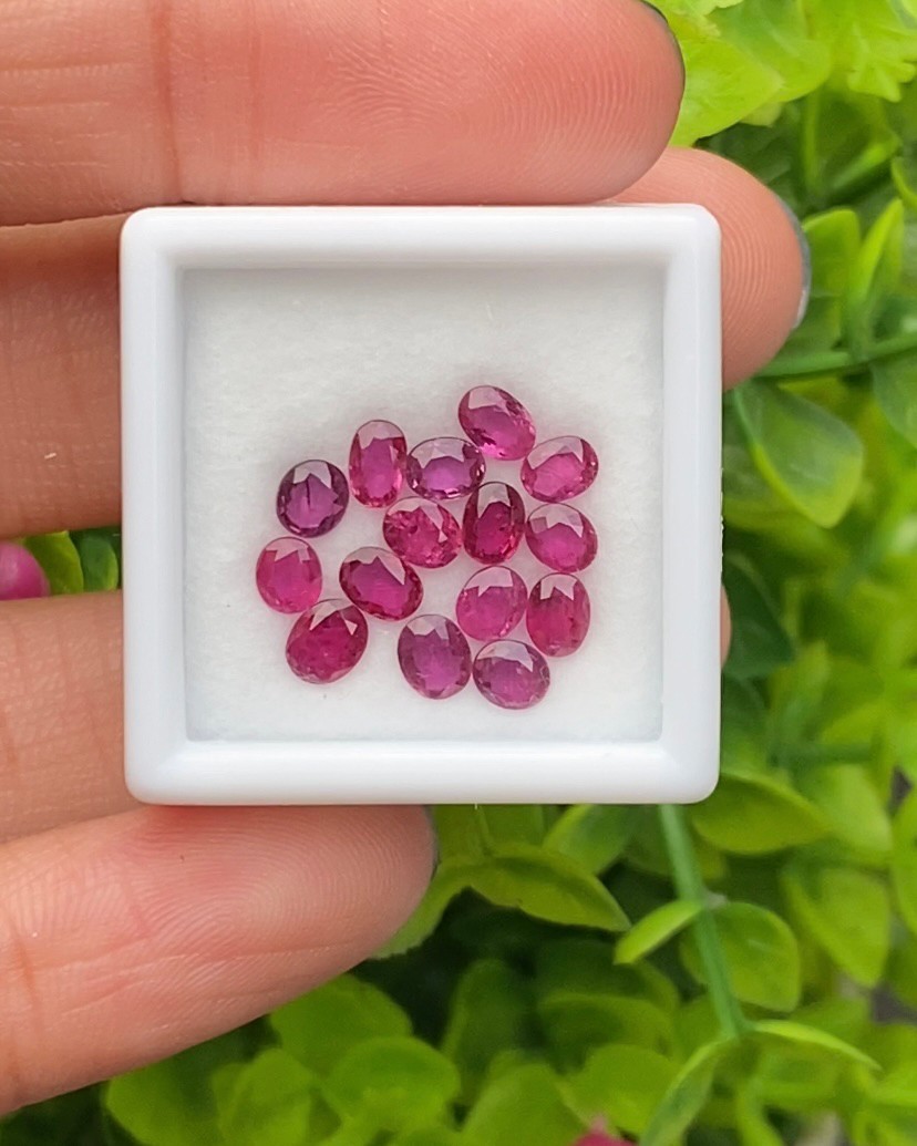 พลอย ทับทิม สยาม Siam Ruby sapphire 15 เม็ด 3.38 กะรัต (Cts.) พลอยแท้ อัญมณีมงคลประจําวันเกิด เครื่องประดับพลอย