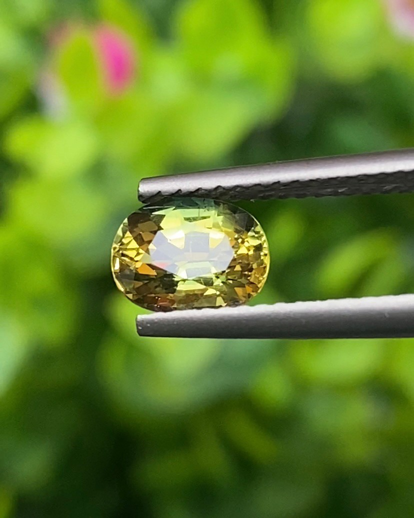 พลอย แซฟไฟร์ 2 สี Bi-Color Sapphire 1.37 กะรัต (Cts.) พลอยแท้ อัญมณีมงคลประจําวันเกิด เครื่องประดับพลอย