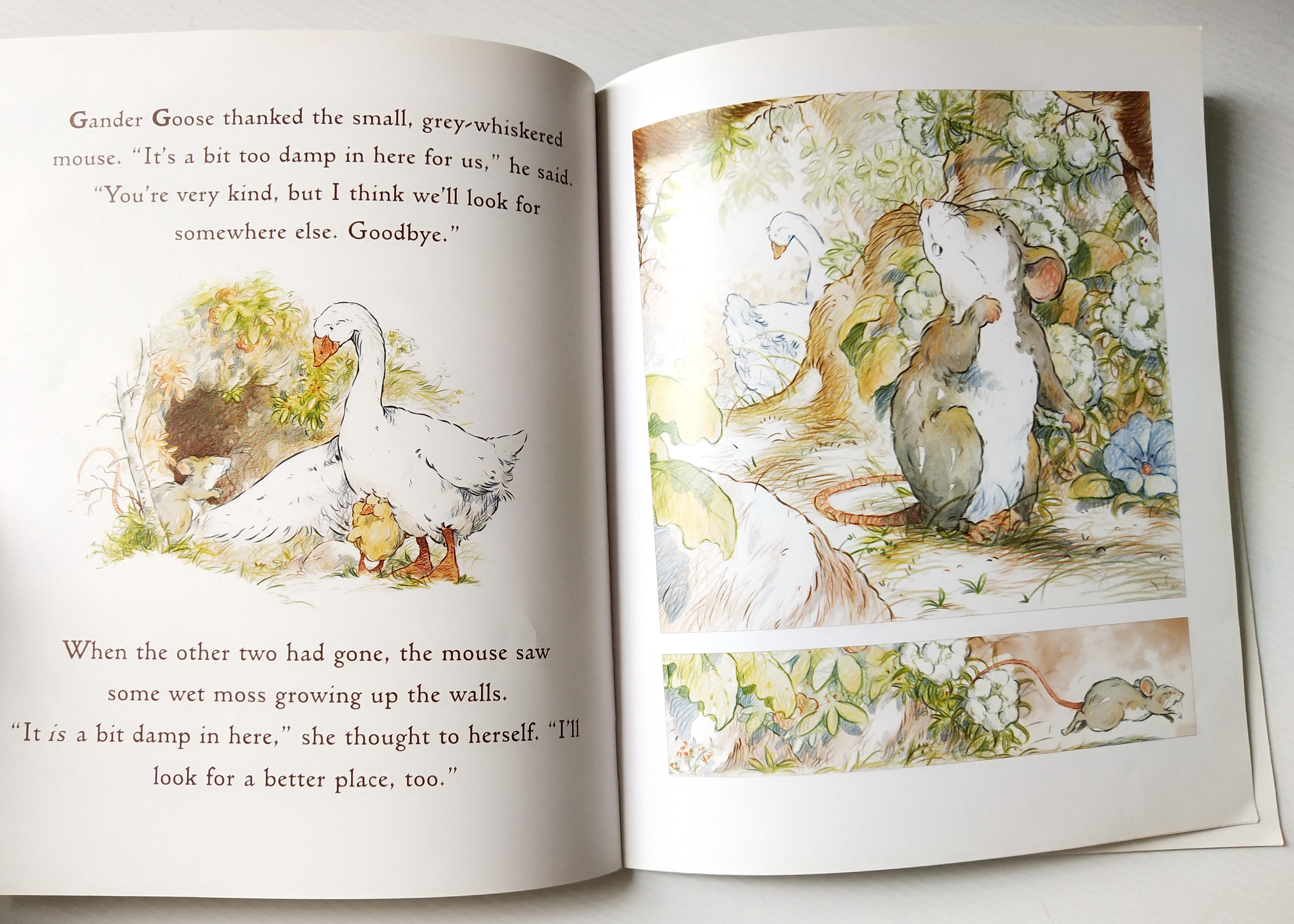 หนังสือนิทานฉบับภาษาอังกฤษ เรื่องราวของครอบครัวห่าน และห่านน้อย จาก SAM MCBRATNEY,"Just You and Me" ภาพโดย Ivan Bates