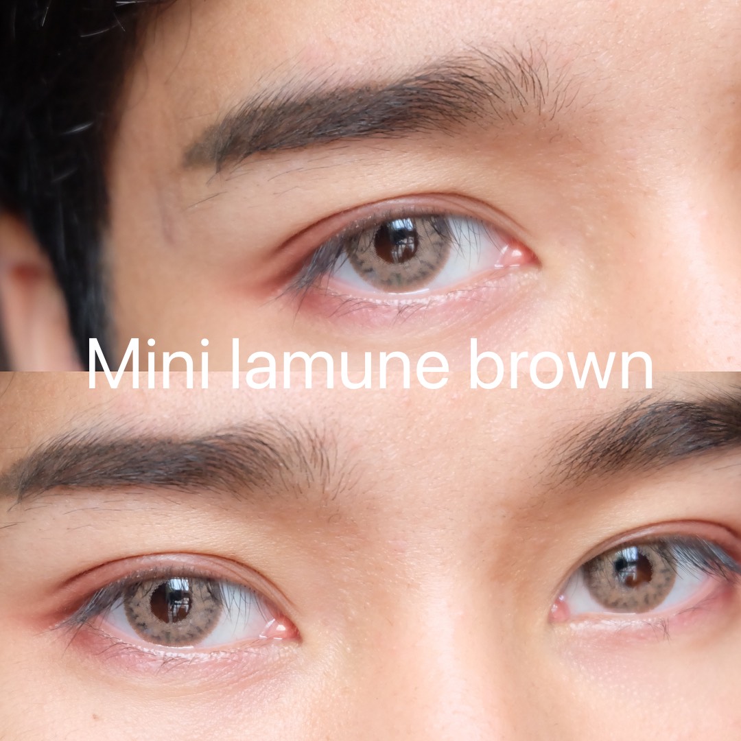 Pitchy lens สีน้ำตาล