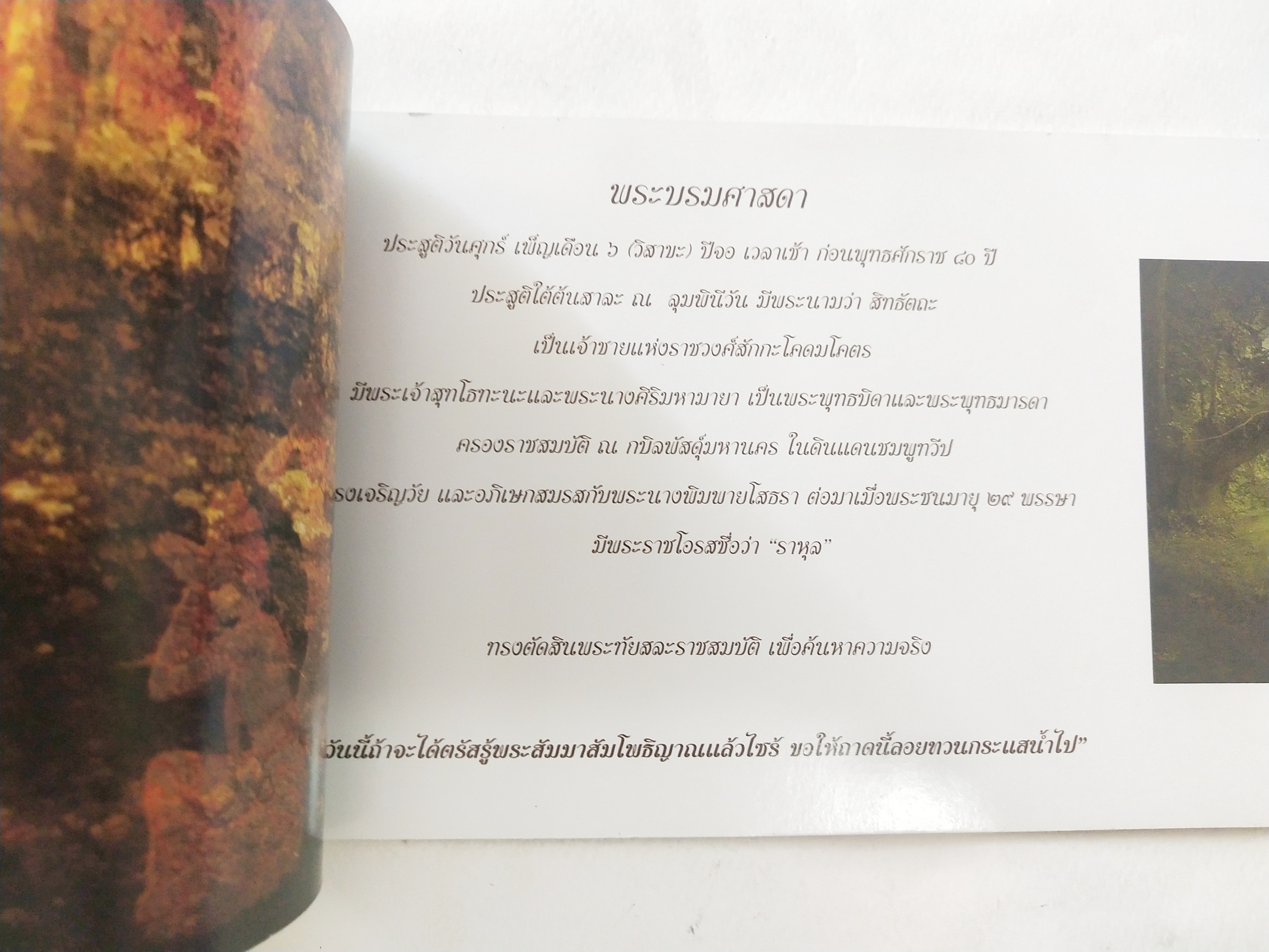 หนังสือภาพสวยเล่มยาว พระพุทธเจ้า เรื่องราวเกี่ยวกับพระศาสดา พร้อมภาพสีทั้งเล่ม