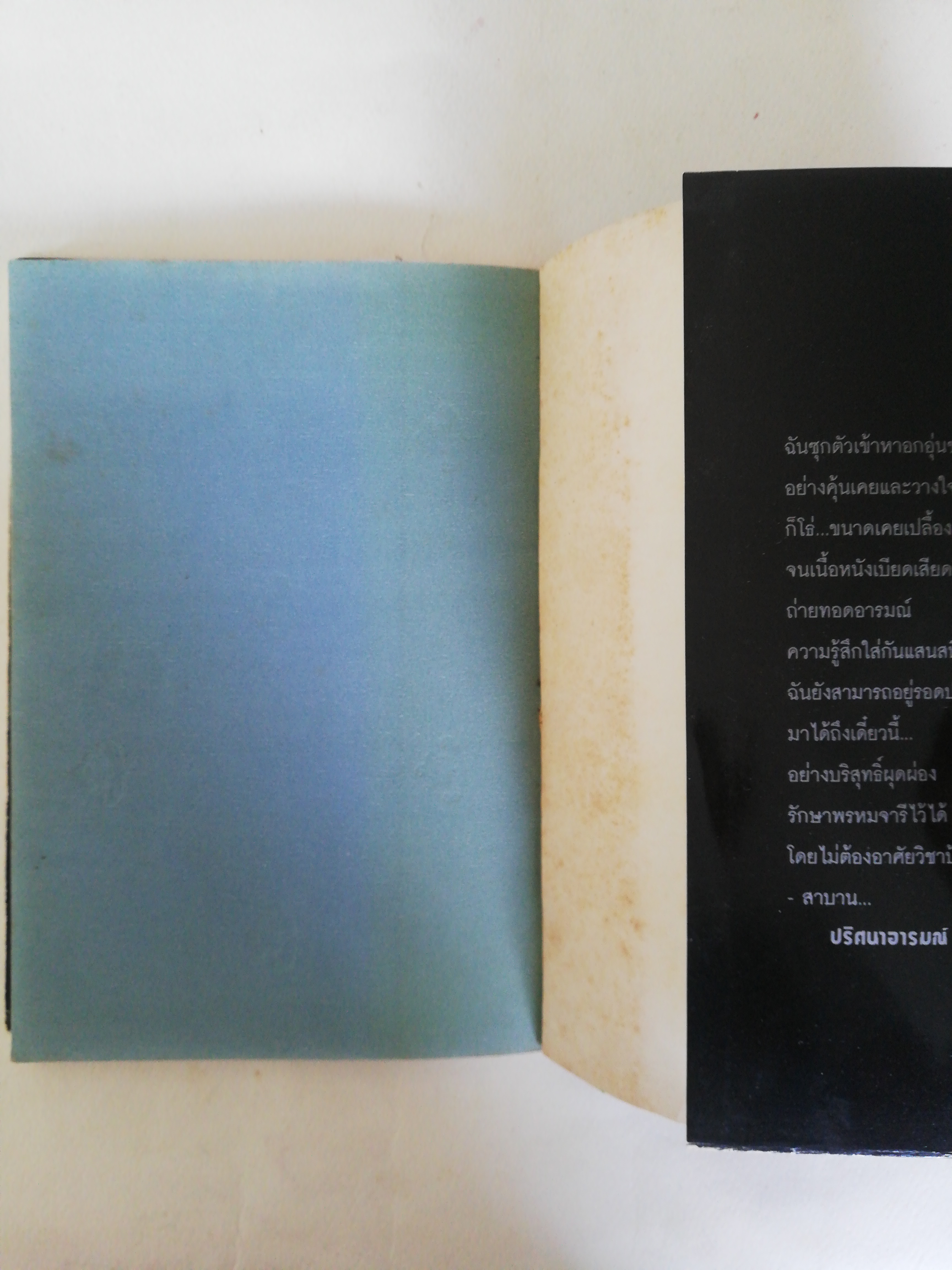 หนังสือ เก่า ** ปกหน้าปกในมีรอยเก่าตามภาพ, แผ่นด้าน ในมีรอยเหลืองบ้างตามภาพ, เรื่องสั้น กะเทาะชีวิต ท่ามกลางความขัดแย้ง และเพื่อนที่ไม่อาจเปิดเผย ความลับ โดยชามา, ช่วง มูลพินิจ ภาพประดับ, พิมพ์ครั้งที่ 3 พฤษภาคม 2540