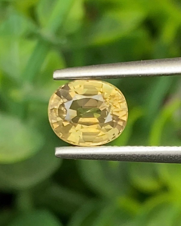 พลอย บุษราคัม Yellow Sapphire 1.64 กะรัต (Cts.) ดิบ ไม่ผ่านการเผา (Unheated) พร้อมใบเซอร์ พลอยแท้ อัญมณีมงคลประจําวันเกิด เครื่องประดับพลอย