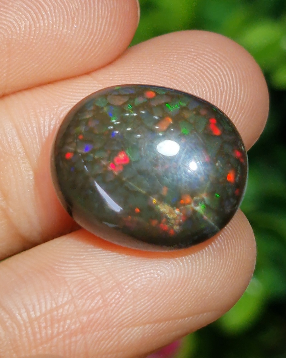 พลอย แบล็ก โอปอล Black Opal 15.76 กะรัต (Cts.) ดิบ (Unheated) พลอยแท้ อัญมณีมงคลประจําวันเกิด เครื่องประดับพลอย