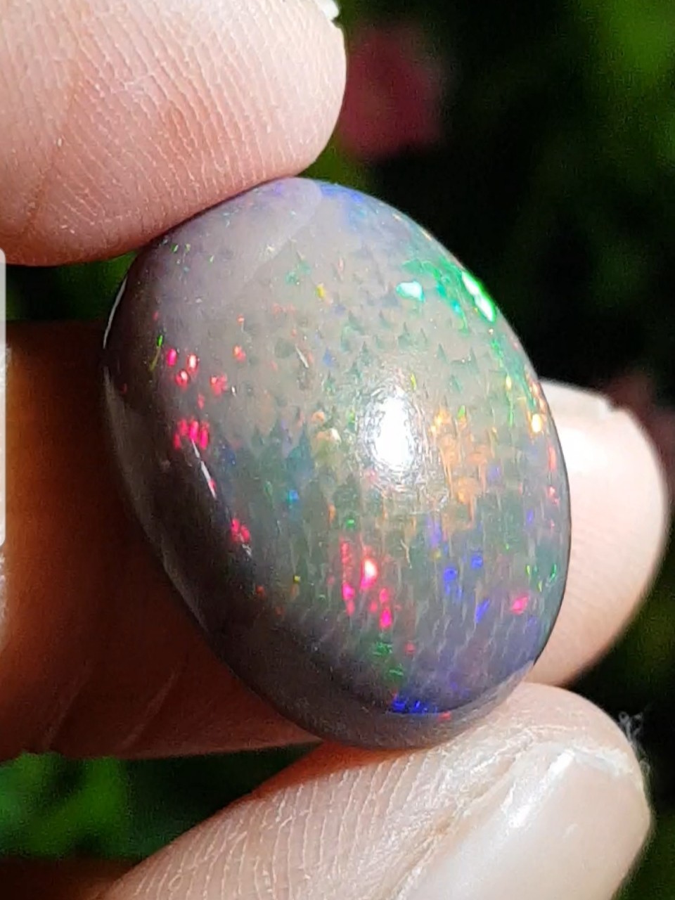 พลอย แบล็ก โอปอล Black Opal 13.73 กะรัต (Cts.) พลอยแท้ อัญมณีมงคลประจําวันเกิด เครื่องประดับพลอย