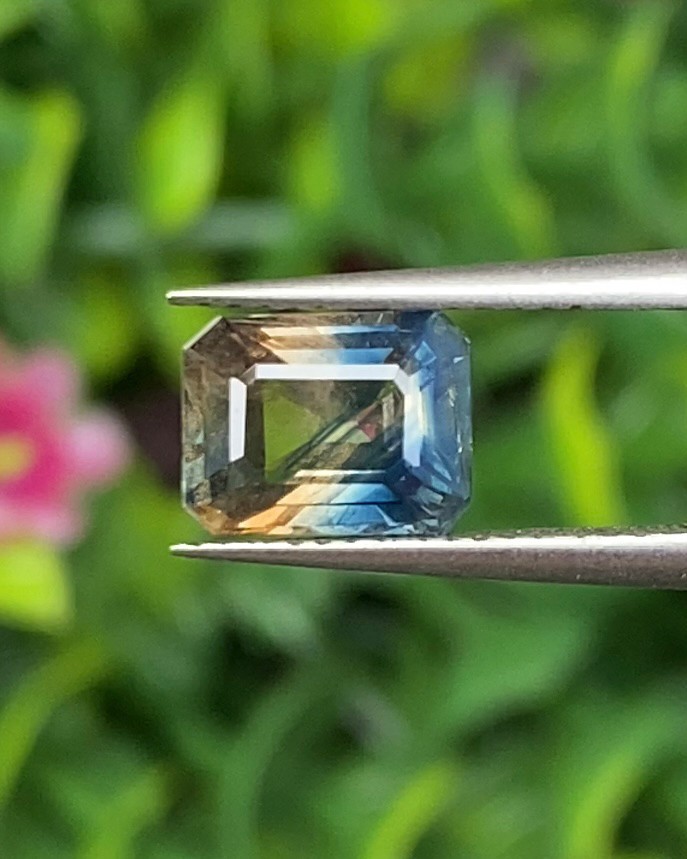 พลอย แซฟไฟร์ 2 สี Bi-Color Sapphire 1.47 กะรัต (Cts.) พลอยแท้ อัญมณีมงคลประจําวันเกิด เครื่องประดับพลอย