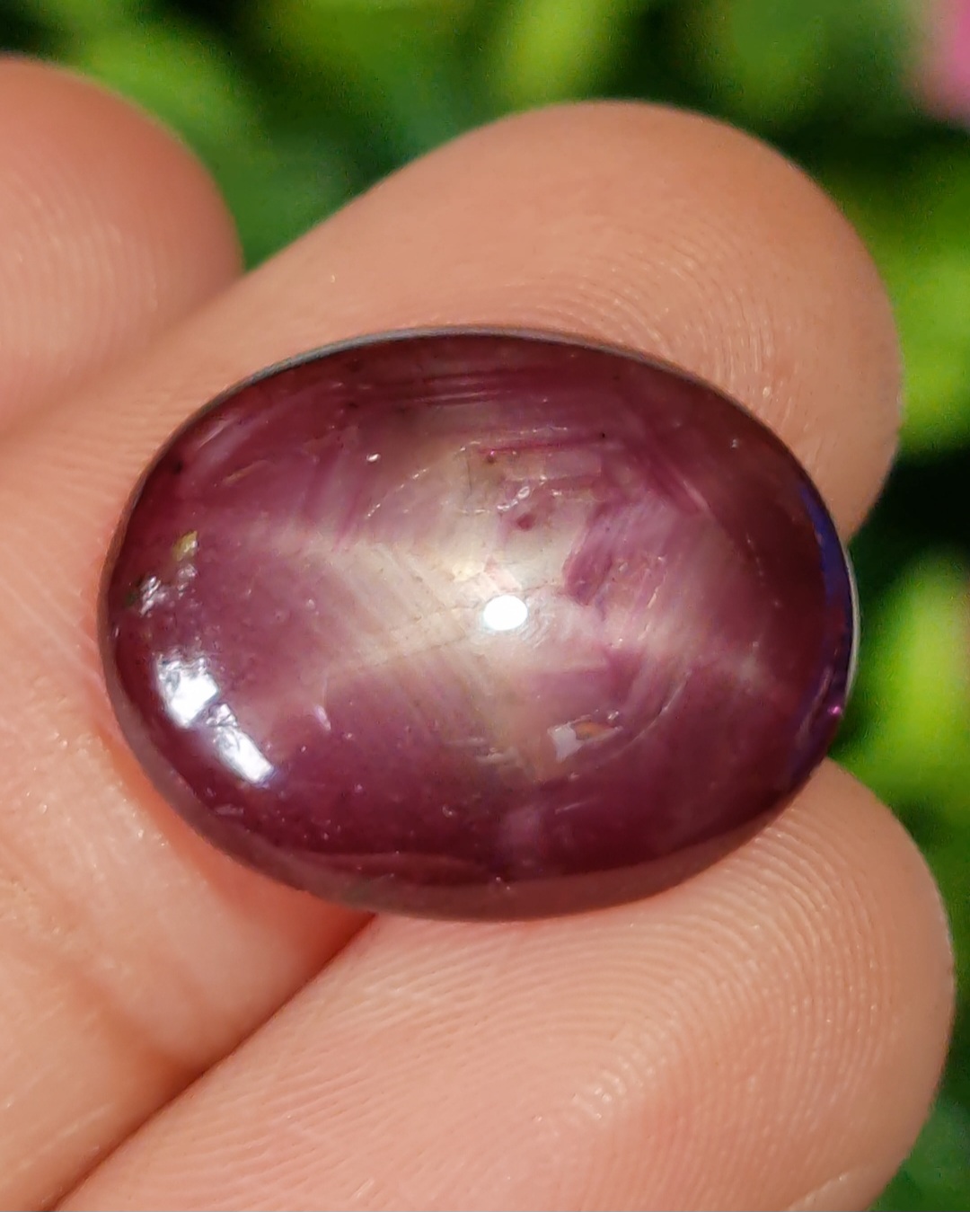 พลอย ทับทิม สตาร์ แซฟไฟร์ Ruby Star Sapphire 14.76 กะรัต (Cts.) พลอยแท้ อัญมณีมงคลประจําวันเกิด เครื่องประดับพลอย