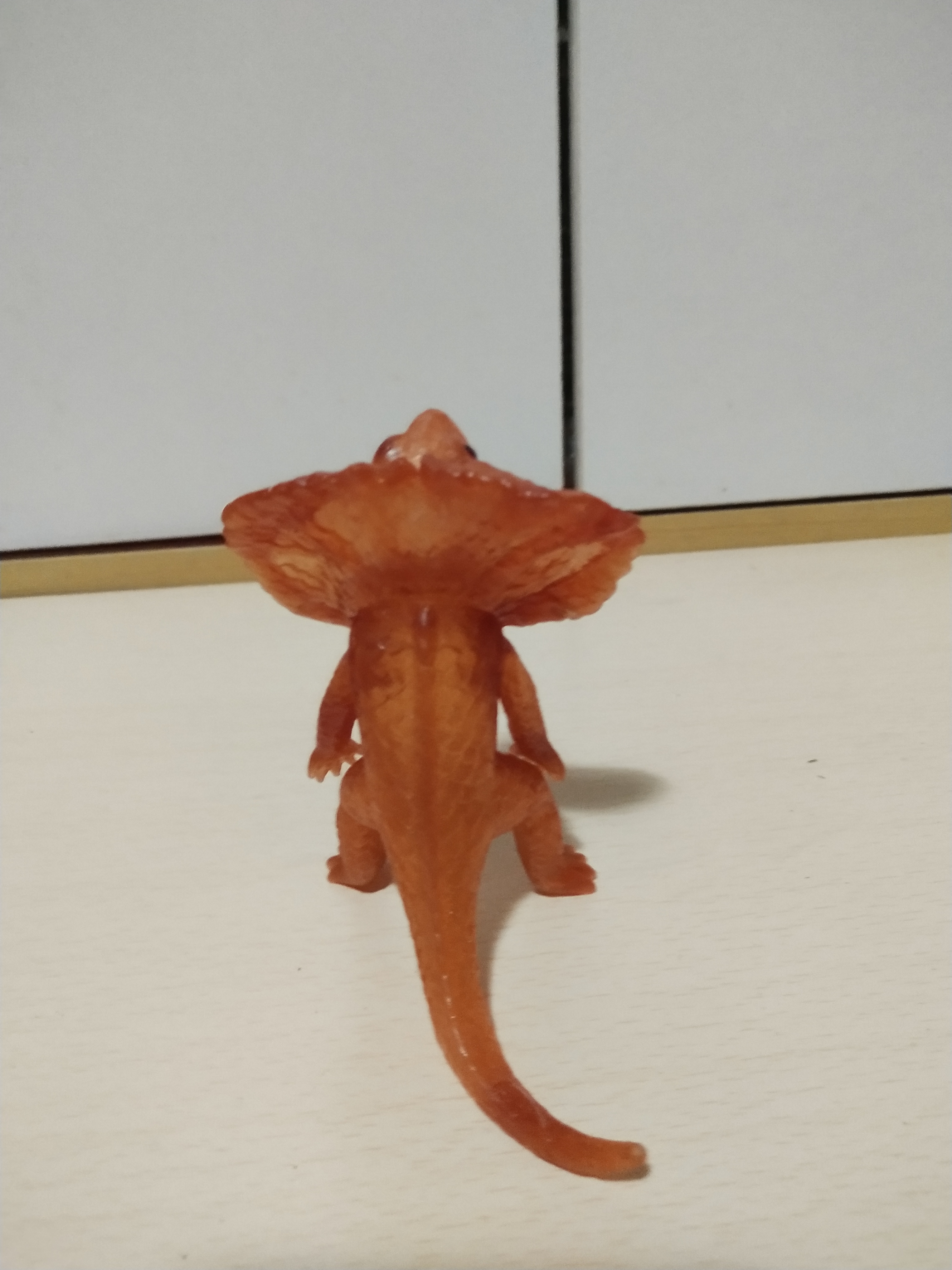 มีหลายภาพ, กิ้งก่ากายสิทธิ์ตัวยางใสสีส้ม