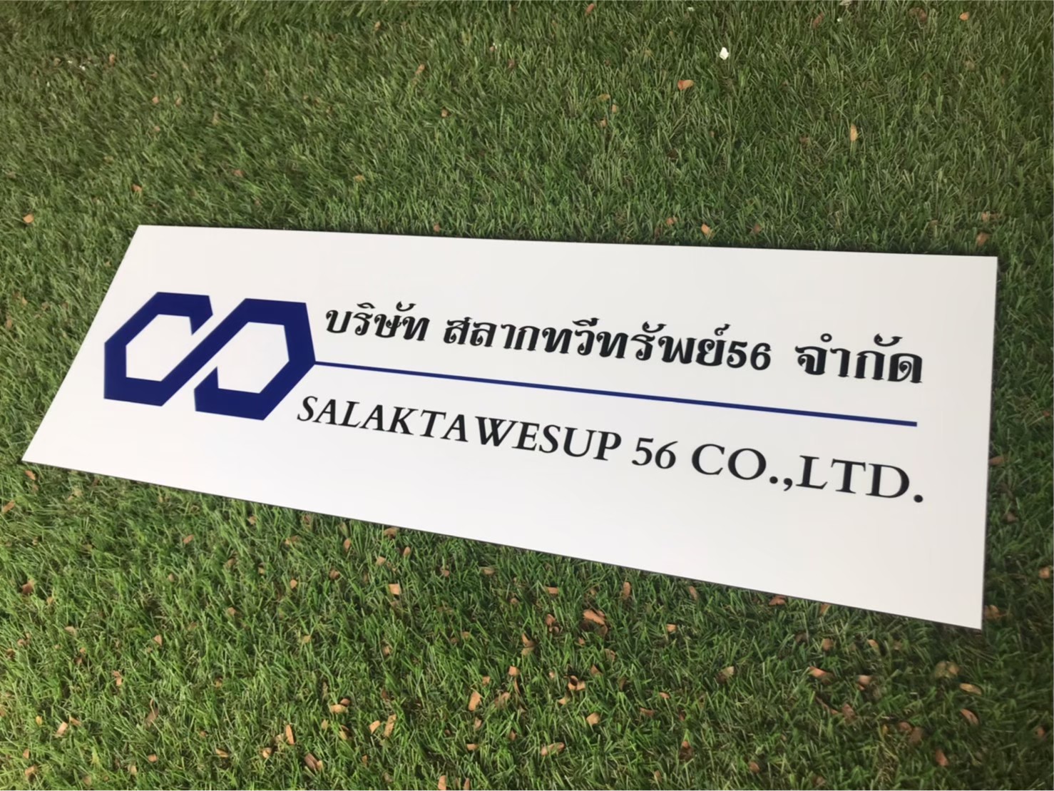 ป้ายสกีน