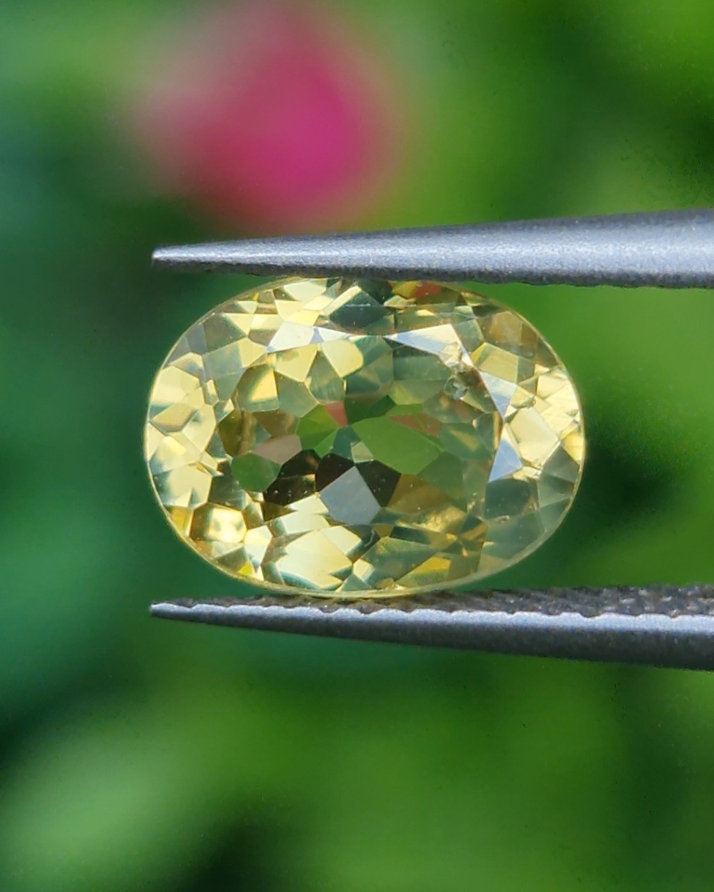 พลอย คริโซเบริล (Chrysoberyl) 1.23 กะรัต (Cts.) พลอยแท้ อัญมณีมงคลประจําวันเกิด เครื่องประดับพลอย