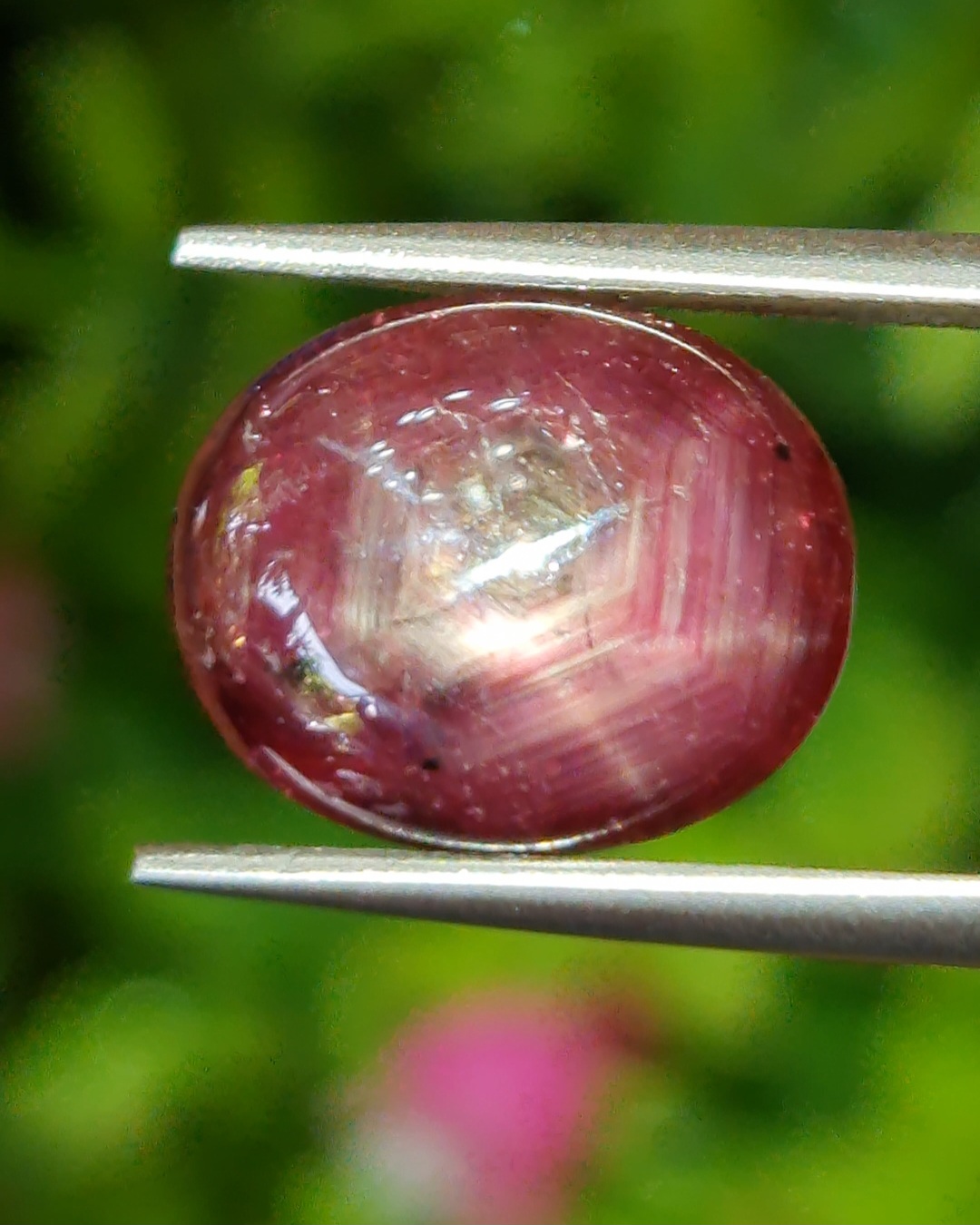 พลอย ทับทิม สตาร์ แซฟไฟร์ Ruby Star Sapphire 7.55 กะรัต (Cts.) พลอยแท้ อัญมณีมงคลประจําวันเกิด เครื่องประดับพลอย