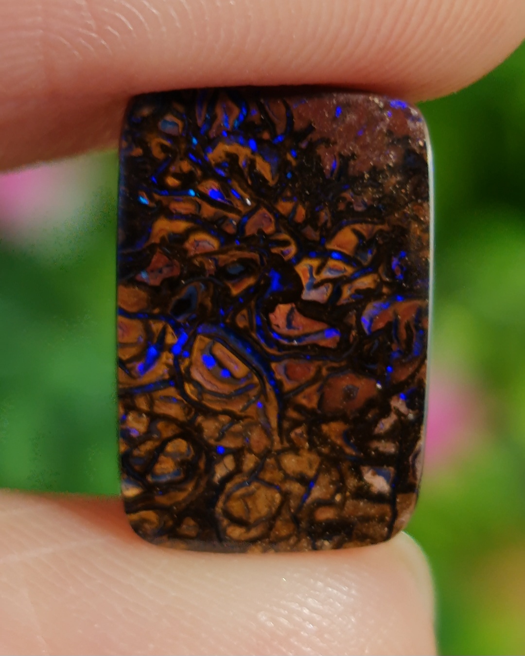 พลอย โบลเดอร์ โอปอล ออสเตรเลีย Australian Boulder Opal 7.00 กะรัต (Cts.) พลอยแท้ อัญมณีมงคลประจําวันเกิด เครื่องประดับพลอย