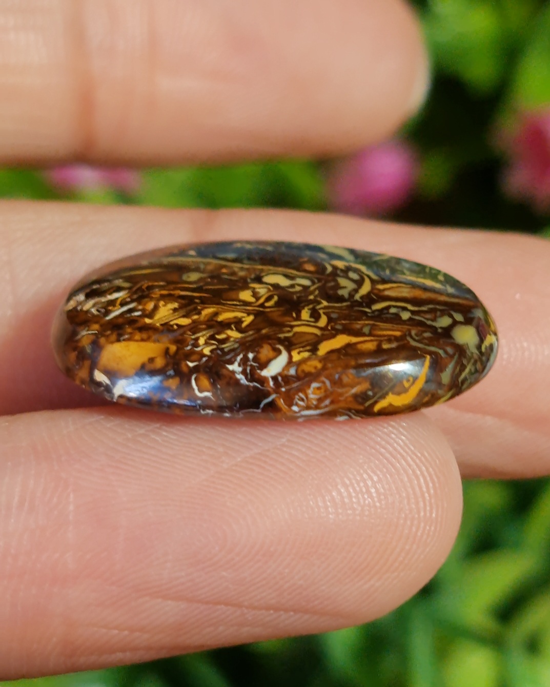 พลอย โบลเดอร์ โอปอล ออสเตรเลีย Australian Boulder Opal 13.50 กะรัต (Cts.) พลอยแท้ อัญมณีมงคลประจําวันเกิด เครื่องประดับพลอย