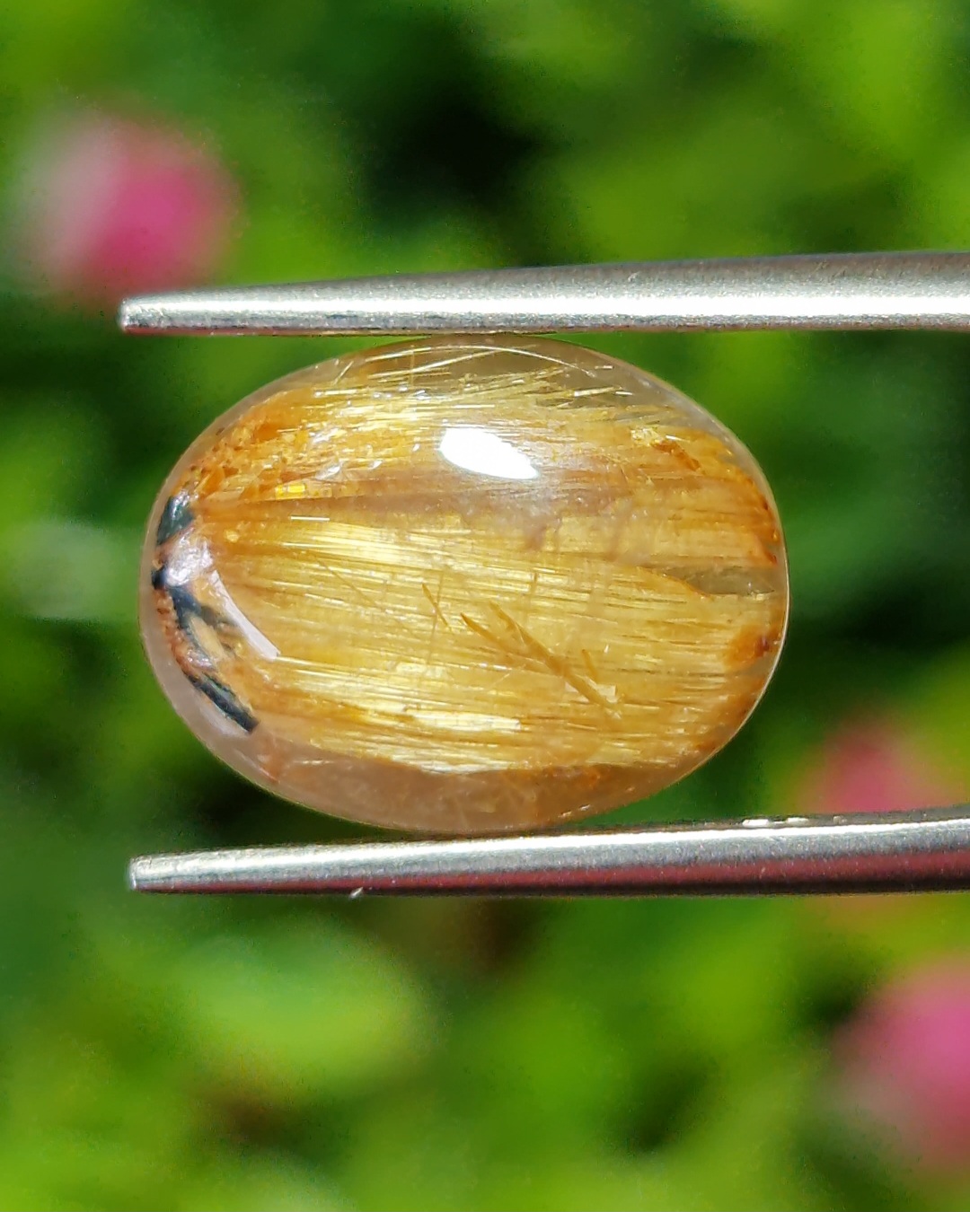 ตาแมว ไหมทอง ควอตซ์ Cat eye Golden Rutilated Quartz 6.29 กะรัต Cts.พลอยแท้ อัญมณีมงคลประจําวันเกิด เครื่องประดับพลอย