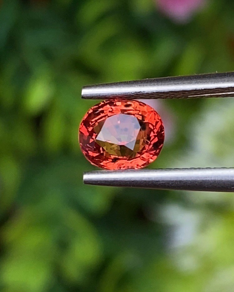 พลอย ออเรนจ์ แซฟไฟร์ Orange Sapphire 1.36 กะรัต (Cts.) พลอยแท้ อัญมณีมงคลประจําวันเกิด เครื่องประดับพลอย