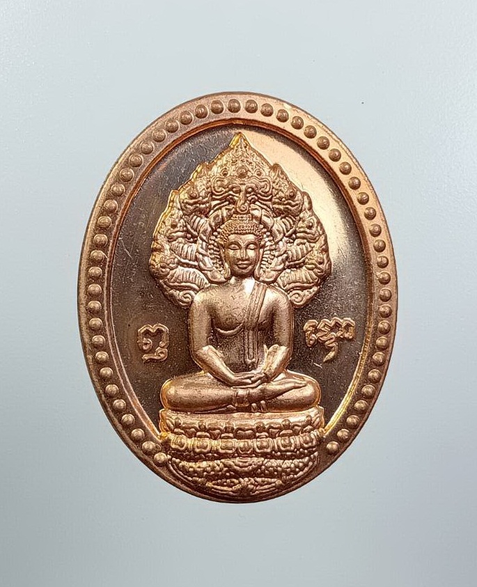 A7525 เหรียญพระนาคปรก หลังพระธาตุพนม วัดพระธาตุพนมวรมหาวิหาร จ.นครพนม อายุวัฒนมงคล 74 ปี พระเทพวรมุนี ปี 2557