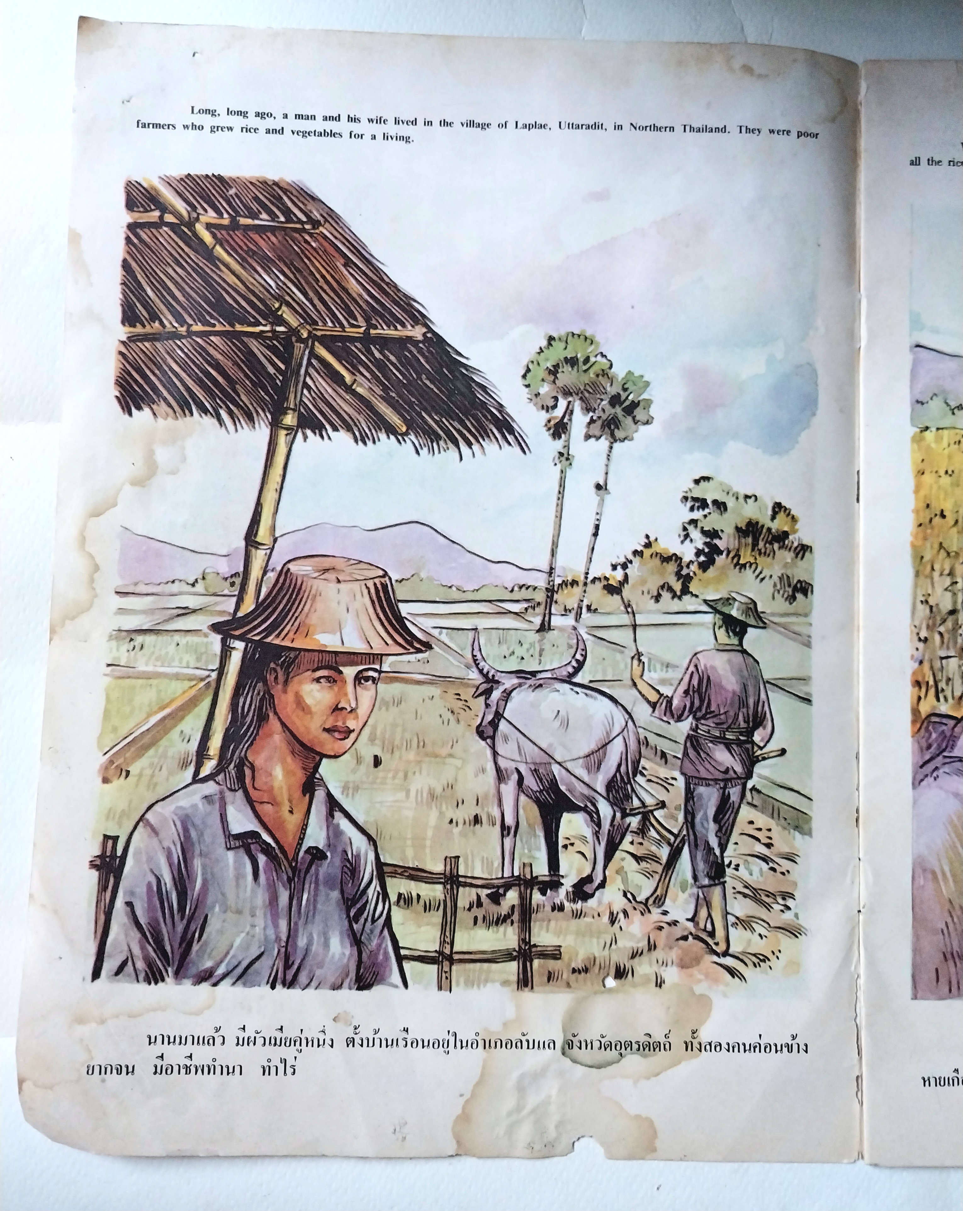 มีหลายภาพ,หนังสือมีตำหนิ โปรดดูทุกภาพ,หนังสือเก่าชุดภาพและหาร์ตูน ช้างปรอท นิทานพื้นบ้านไทย สำหรับเยาวชนEYELESS ELEPHANTS THAI FOLKTALESFOR YOUNG READERS โดยสมสักดิ์ ศีรีมาโนชน์ ป.ม,กศ.บ,M.Ed. พ.ม.กศ.บ..M.Ed.สุนทร สุห้+บชีย หนังสือชุดภาพและตูน ราคาปก 5.50