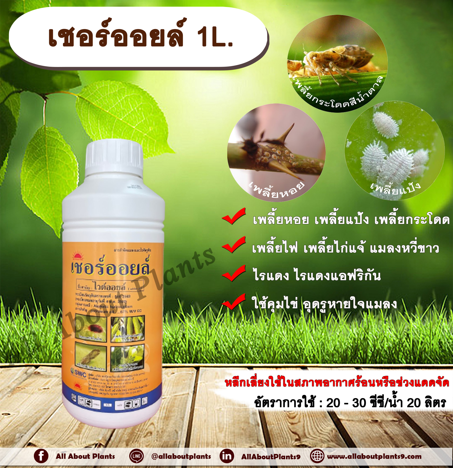 เชอร์ออยล์ 1L. ไวต์ออยล์ คุมไข่ อุดรูหายใจแมลง สารกำจัดแมลง กำจัดเพลี้ยหอย กำจัดเพลี้ย ขัดผิว ทีเจซี allaboutplants ชิ้น