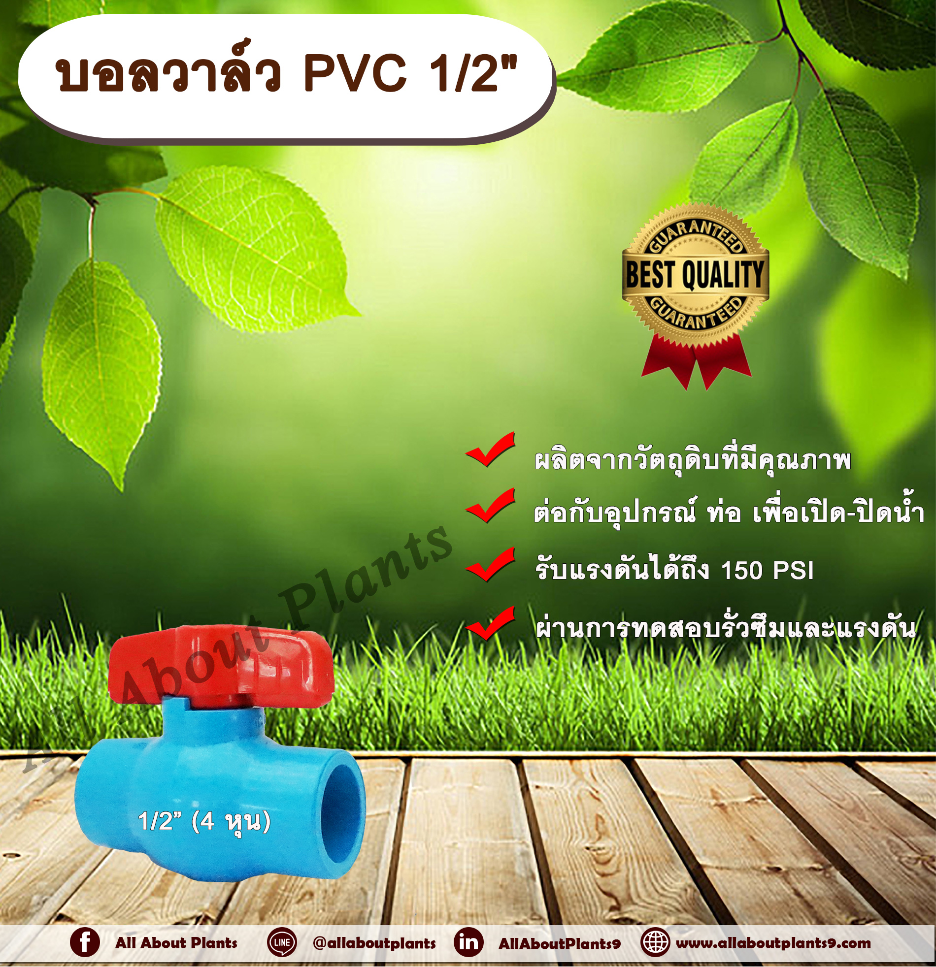 บอลวาล์ว PVC 1/2” (4 หุน) บอลวาล์ว ประตูเปิดปิดน้ำ บอลวาล์วพีวีซี แบบสวม Ball Valve ร้านallaboutplants ชิ้น