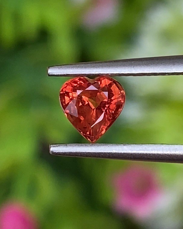 พลอย ออเรนจ์ แซฟไฟร์ Orange Sapphire 0.58 กะรัต (Cts.) พลอยแท้ อัญมณีมงคลประจําวันเกิด เครื่องประดับพลอย