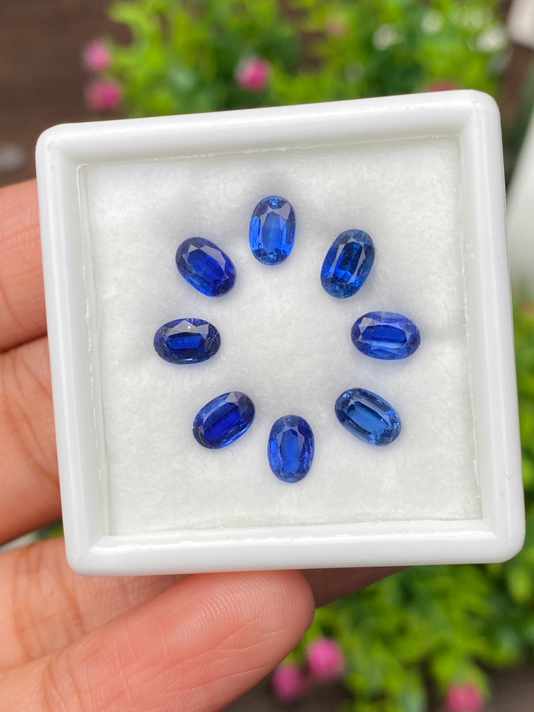 พลอย ไคยาไนต์ Kyanite 5.30 กะรัต (Cts.) 8 เม็ด พลอยแท้ อัญมณีมงคลประจําวันเกิด เครื่องประดับพลอย