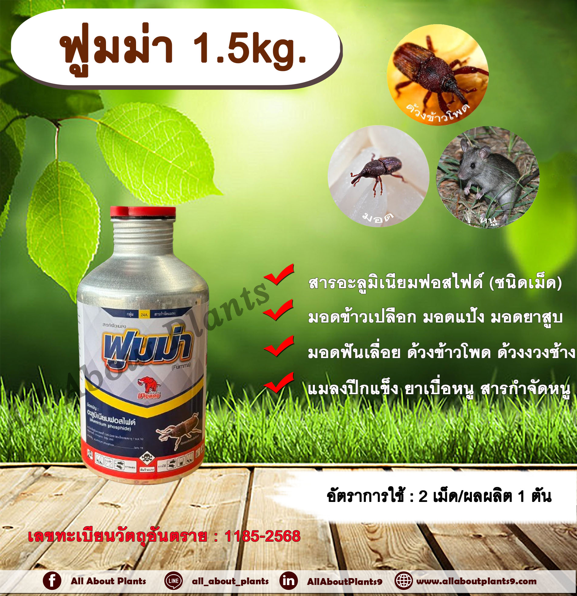 ฟูมม่า 1.5kg. อะลูมิเนียมฟอสไฟด์ สารรมข้าวสาร ข้าวเปลือก ถั่ว ข้าวโพด เมล็ดพันธุ์ต่างๆ สารกำจัดหนู มอด ด้วง มอดข้าวเปลือก มอดแป้ง มอดยาสูบ มอดฟันเลื่อย ด้วงข้าวโพด ด้วงงวงช้าง บรรจุ 500 เม็ด กระป๋อง