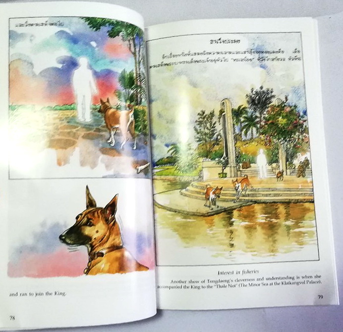 หนังสือเก่า ****มีตำหนิ หน้าสุดท้ายติดปกหลัง พระราชนิพนธ์ พระบาทสมเด็จพระเจ้าอยู่หัวภูมิพลอดุลยเดช His Majesty King Bhumibol Adulyadej Biography of a Pet Dog เรื่อง ทองแดง ฉบับการ์ตูน พิมพ์ซ้ำครั้งที่ 2 พฤศจิกายน 2547 ผู้เขียนการ์ตูนประกอบพระราชนิพนธ์ : ช