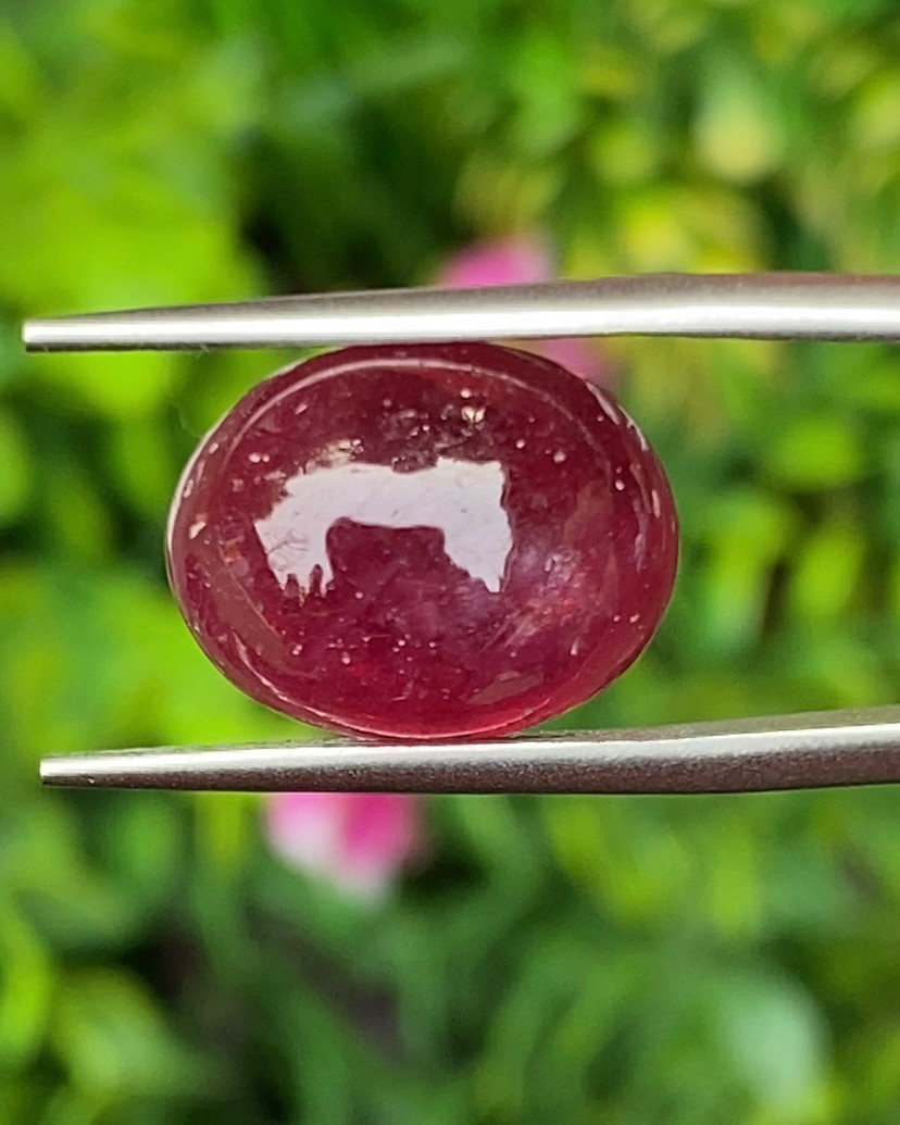 พลอย ทับทิม (Ruby Sapphire) 12.62 กะรัต (Cts.) พลอยแท้ อัญมณีมงคลประจําวันเกิด เครื่องประดับพลอย