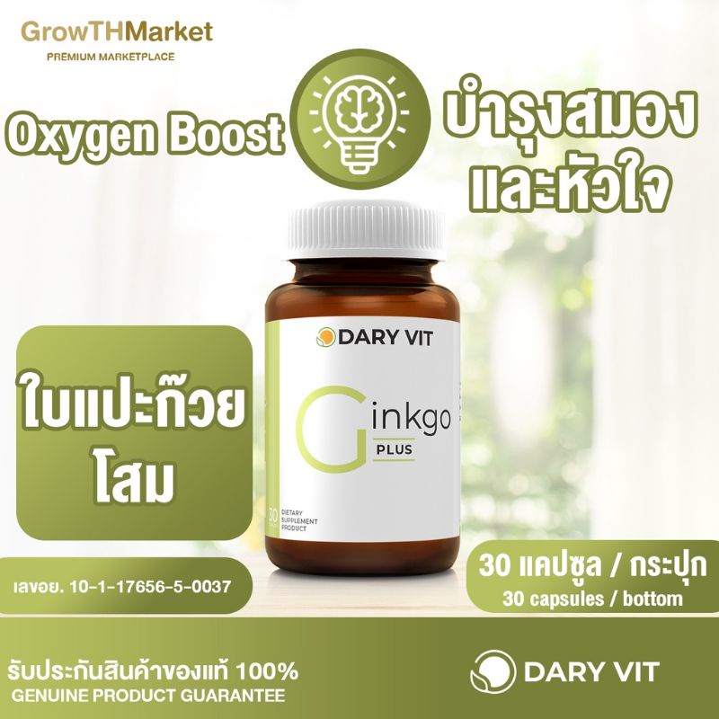 5 PV. Dary Vit Gingko Plus ดารี่ วิต อาหารเสริม สารสกัด จาก ใบแปะก๊วย โสม ขนาด 30 แคปซูล