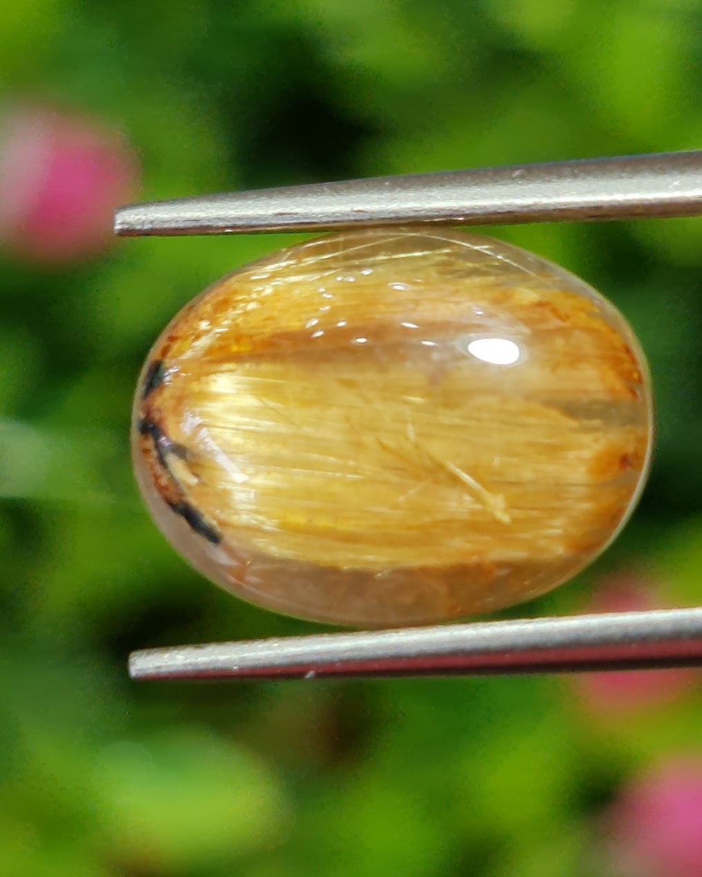 ตาแมว ไหมทอง ควอตซ์ Cat eye Golden Rutilated Quartz 6.29 กะรัต Cts.พลอยแท้ อัญมณีมงคลประจําวันเกิด เครื่องประดับพลอย