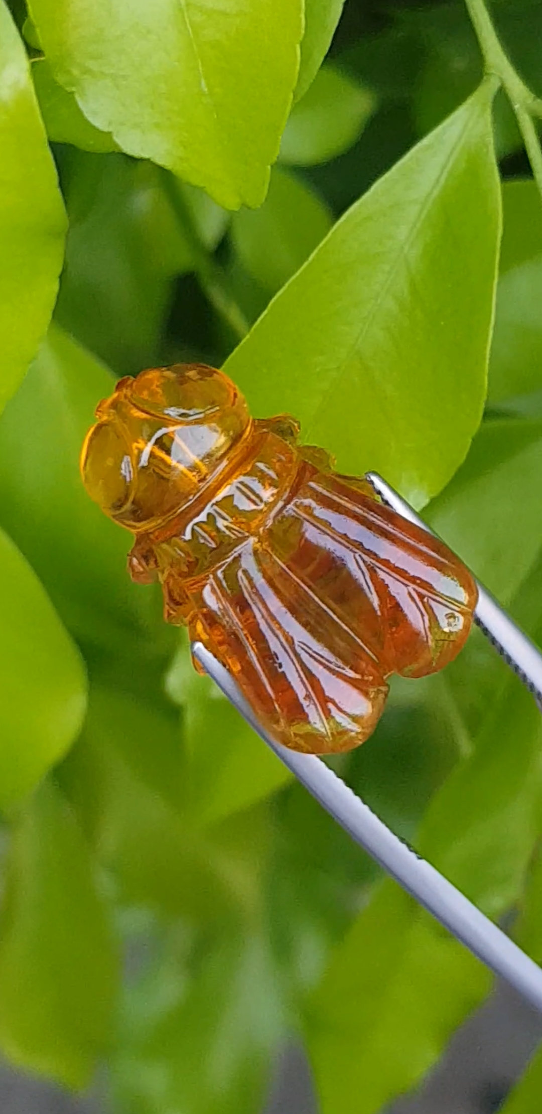 อำพัน แกะสลัก พญาตัวต่อ Wasp Natural Amber พลอยแท้ อัญมณีมงคลประจําวันเกิด เครื่องประดับพลอย