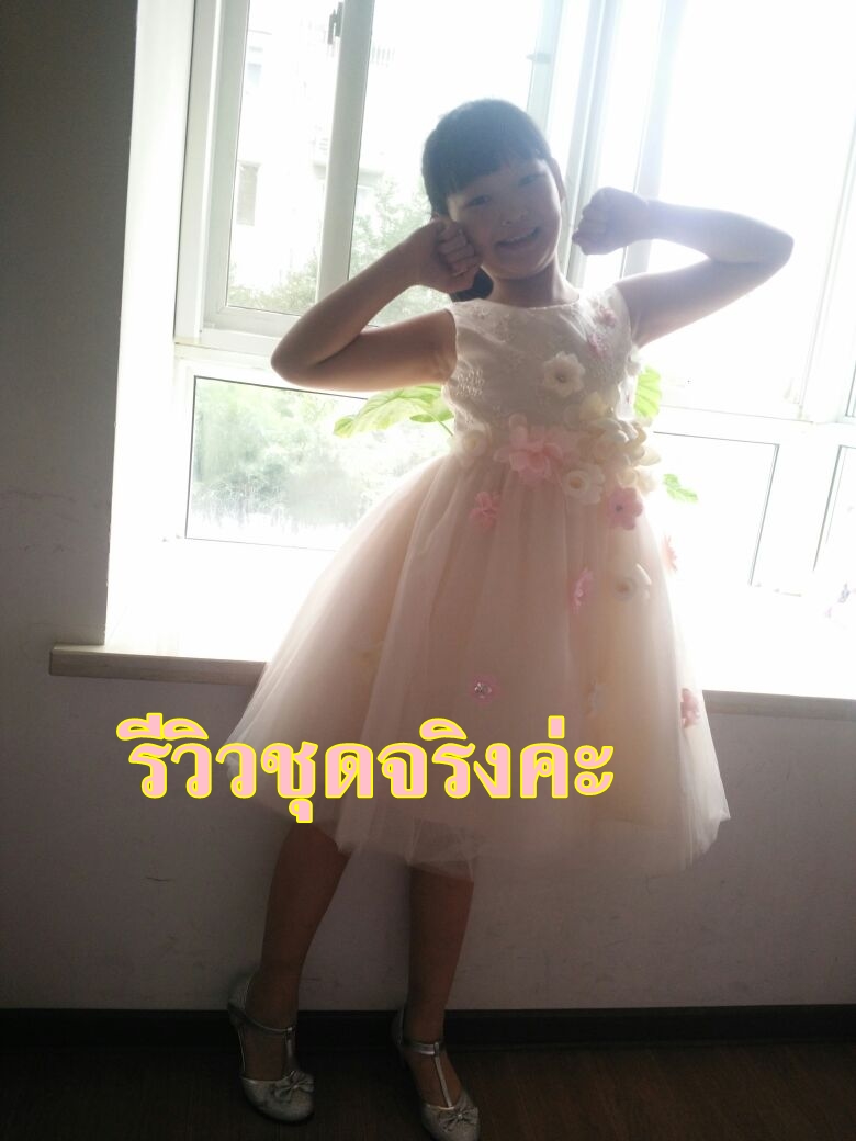 Pre-order ชุดราตรีเด็ก ชุดออกงาน ชุดกระโปรง สไตล์เจ้าหญิง แขนกุด แต่งดอกไม้สามมิติทั้งชุด มีซิปหลัง