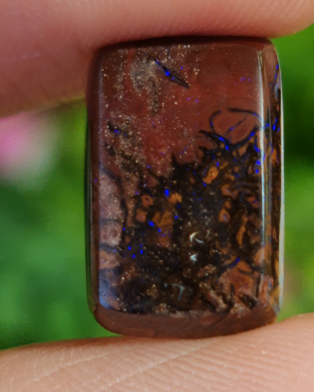 พลอย โบลเดอร์ โอปอล ออสเตรเลีย Australian Boulder Opal 7.00 กะรัต (Cts.) พลอยแท้ อัญมณีมงคลประจําวันเกิด เครื่องประดับพลอย