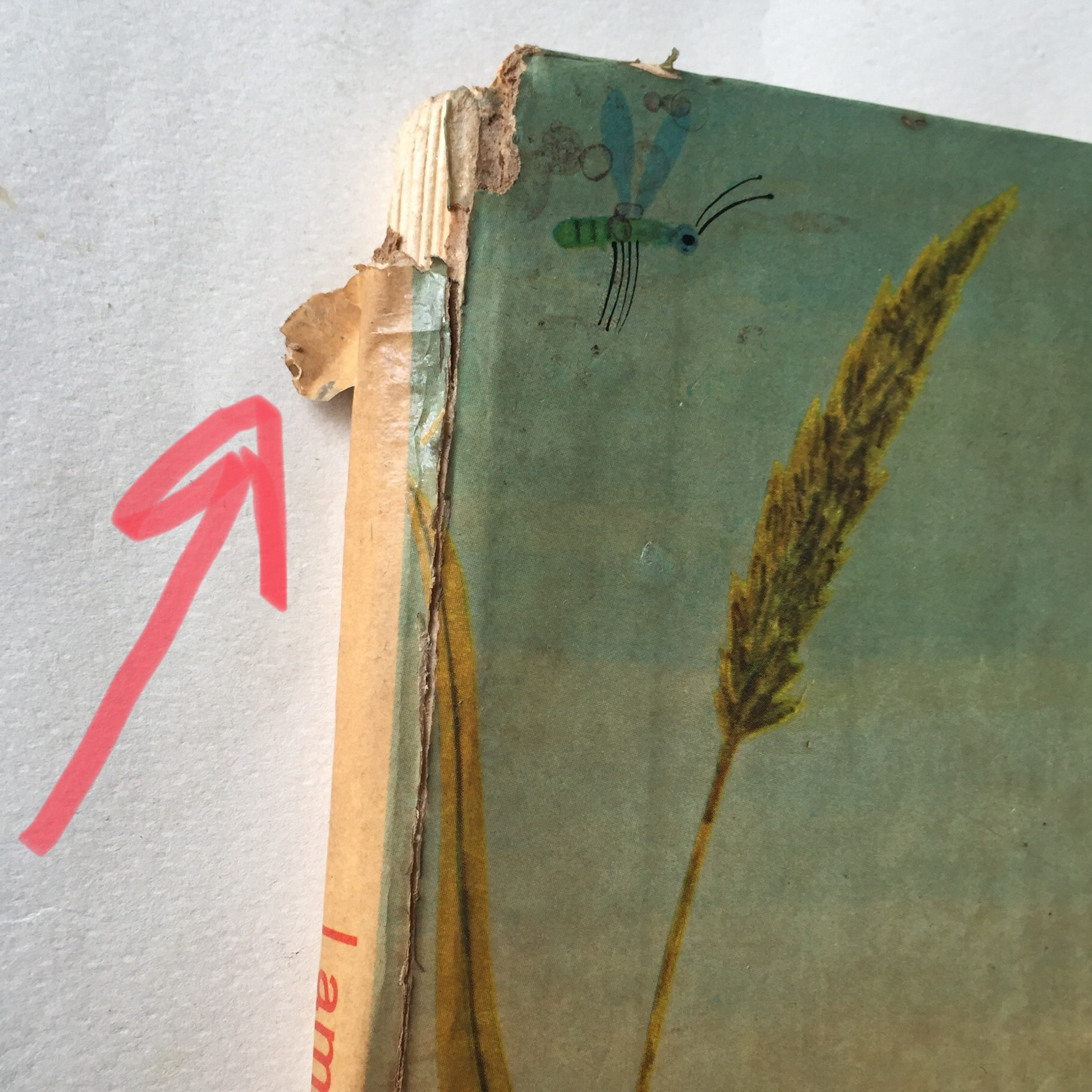 หนังสือนิทานเก่าภาพสวยปกแข็ง ปี 1964 ฉบับภาษาอังกฤษ "I am a Mouse", a golden sturdy happy book **มีตำหนิตามภาพ