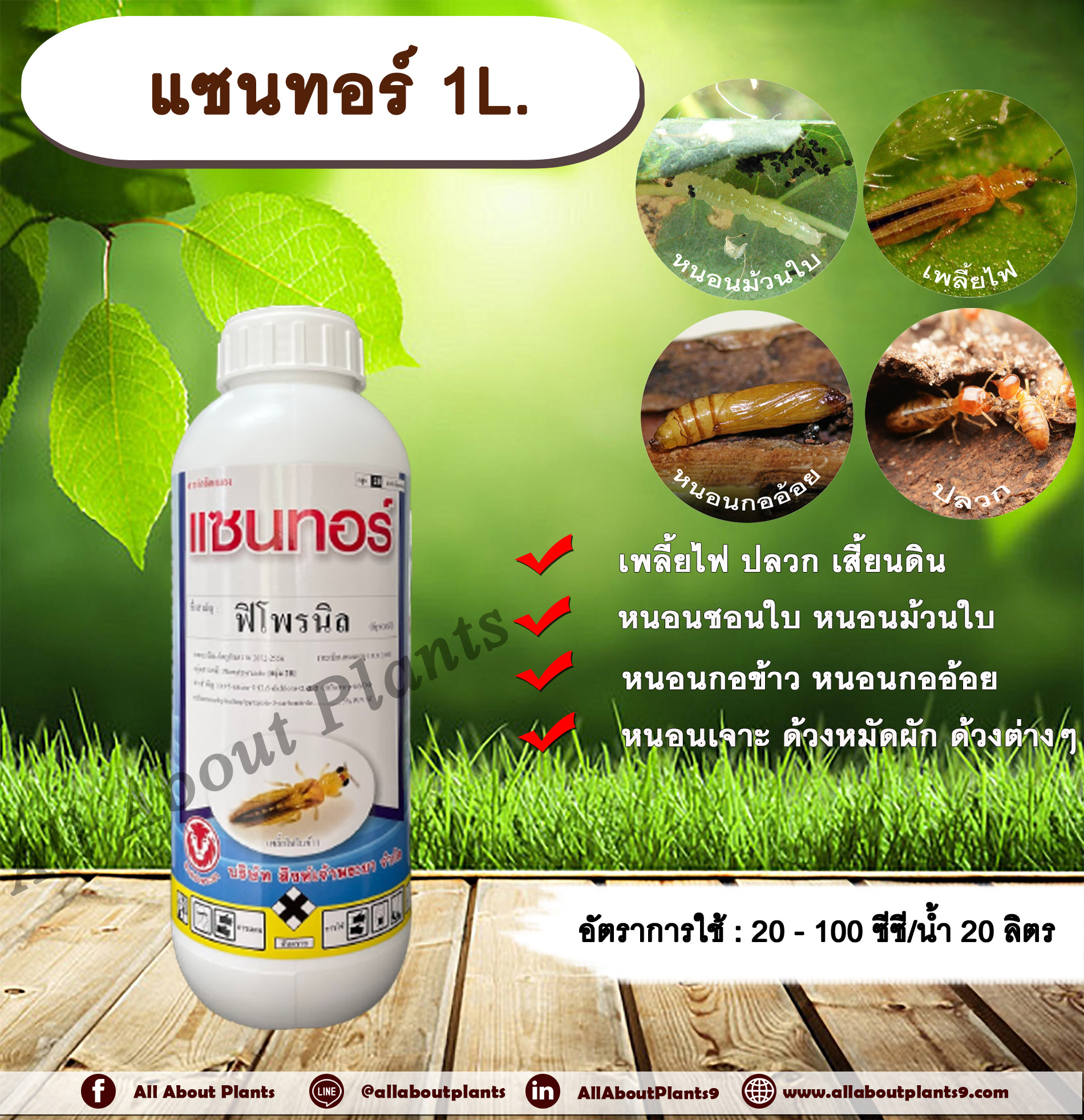 แซนทอร์ 1L. ฟิโพรนิล สารกำจัดแมลง เพลี้ยไฟ ปลวก หนอนชอนใบ หนอนม้วนใบ หนอนกอข้าว หนอนกออ้อย หนอนเจาะ ด้วงหมัดผัก ด้วงต่างๆ เสี้ยนดิน ดูดซึม allaboutplants ชิ้น