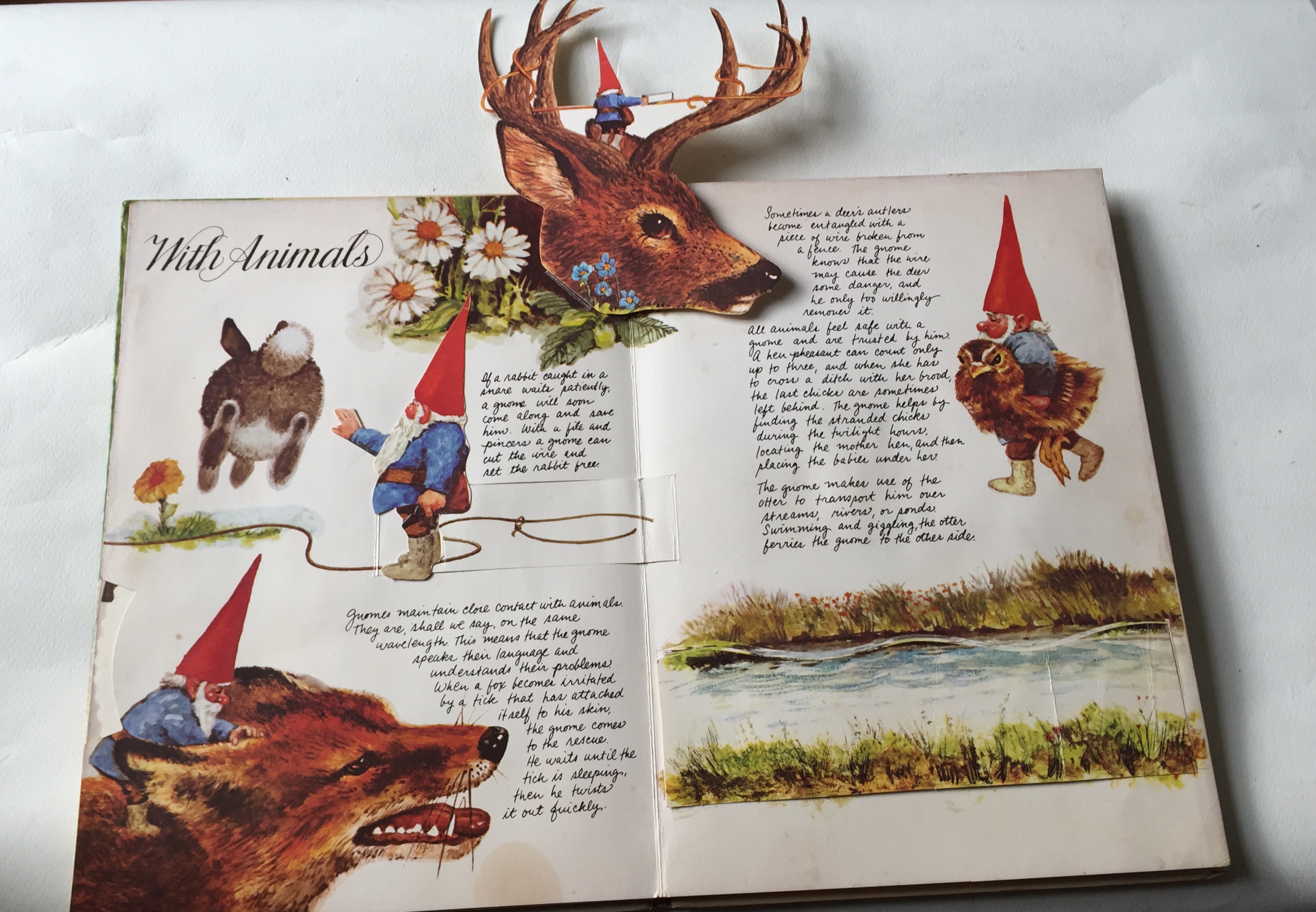 หนังสือภาพเก่าปกแข็ง ฉบับภาษาอังกฤษ pop up Book of Gnomes ** มีตำหนิ โปรดตรวจสอบทุกภาพ,Art Director: Chuck Murphy Designer : John stresan Paper Engineer : Tor Lokvig Handwriting: Diane Kosowski @1979 Harry N.Abrams,Ine. Adapted from GNOMES by Rien Poortvl