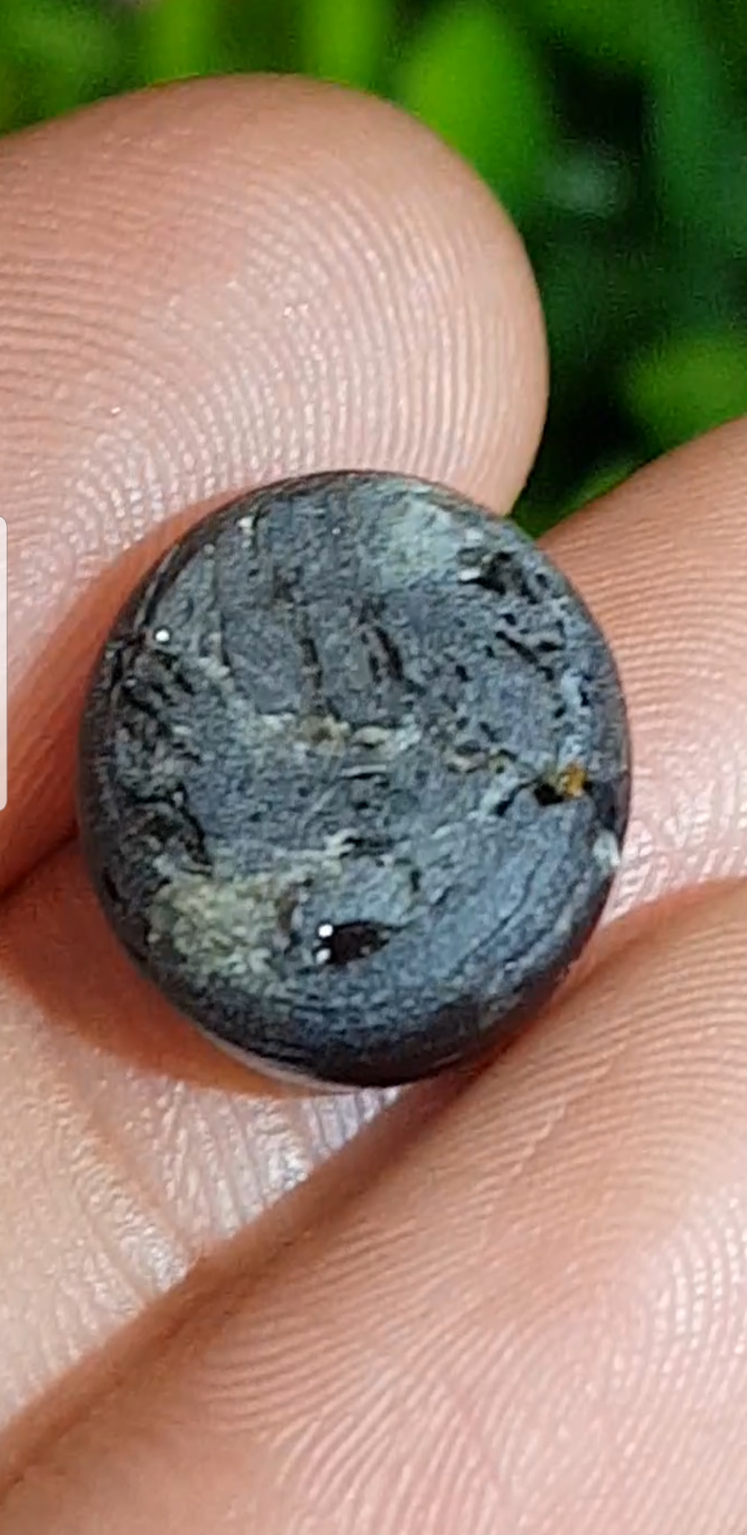 พลอย แบล็ค สตาร์ แซฟไฟร์ Black Star Sapphire 12.05 กะรัต (Cts.) ดิบ Unheated พร้อมใบเซอร์ พลอยแท้ อัญมณีมงคลประจําวันเกิด เครื่องประดับพลอย